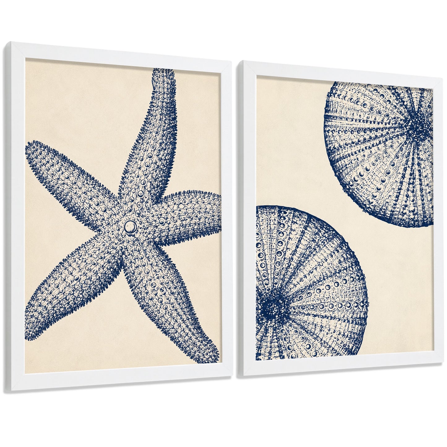 Posters de Azul Costero con Arte de Estrella de Mar y Erizo de Mar