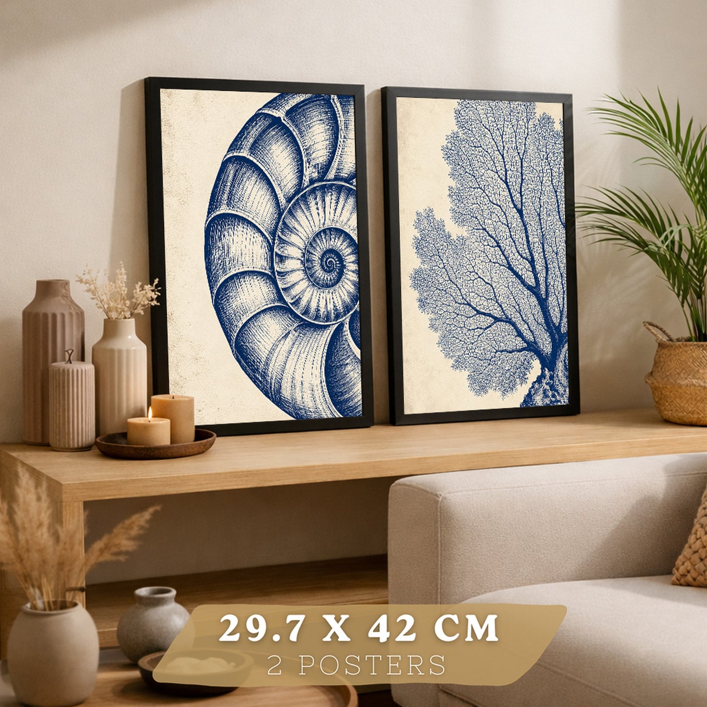 Posters de Arte de Pared Azul Costero con Coral y Concha Nautilus