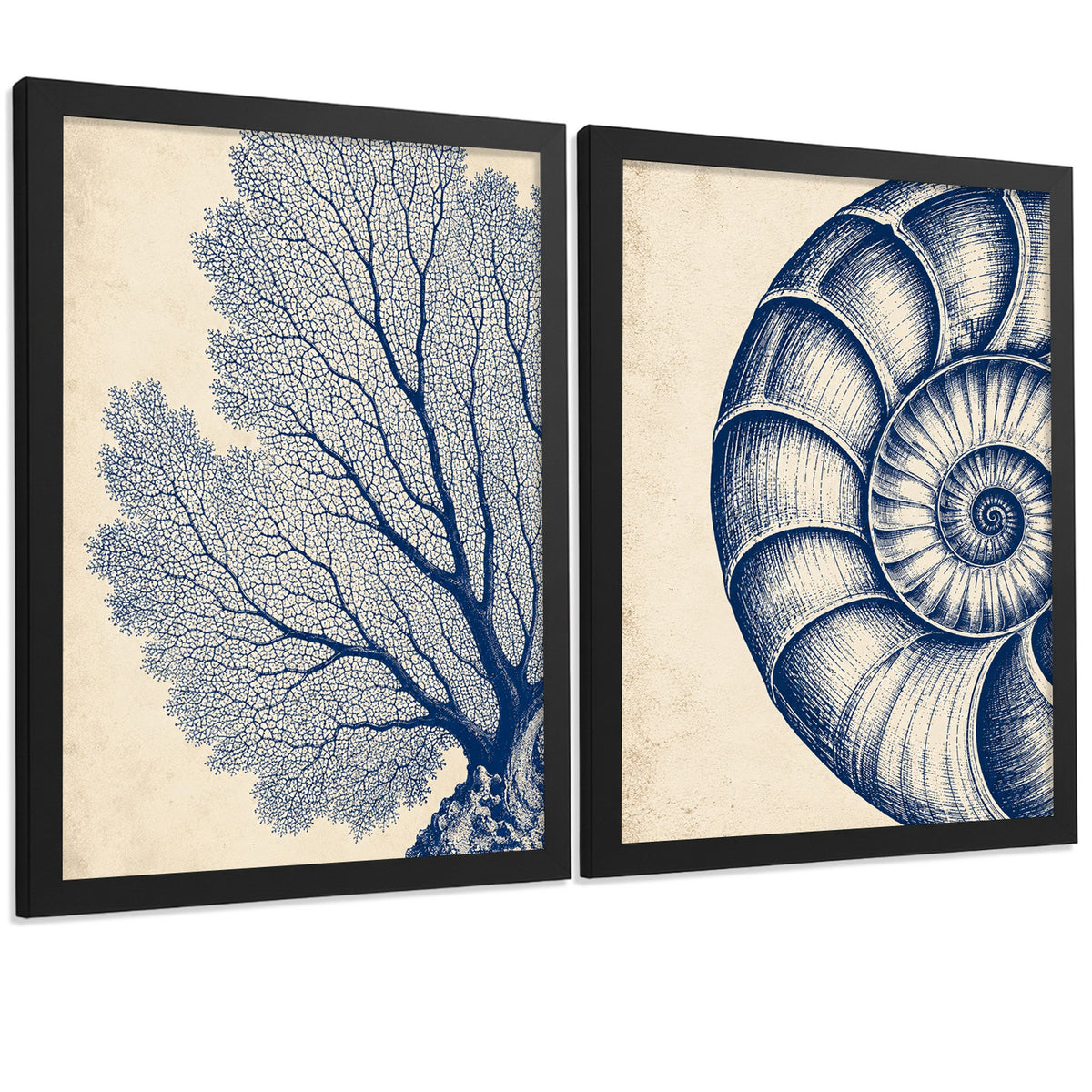 Posters de Arte de Pared Azul Costero con Coral y Concha Nautilus