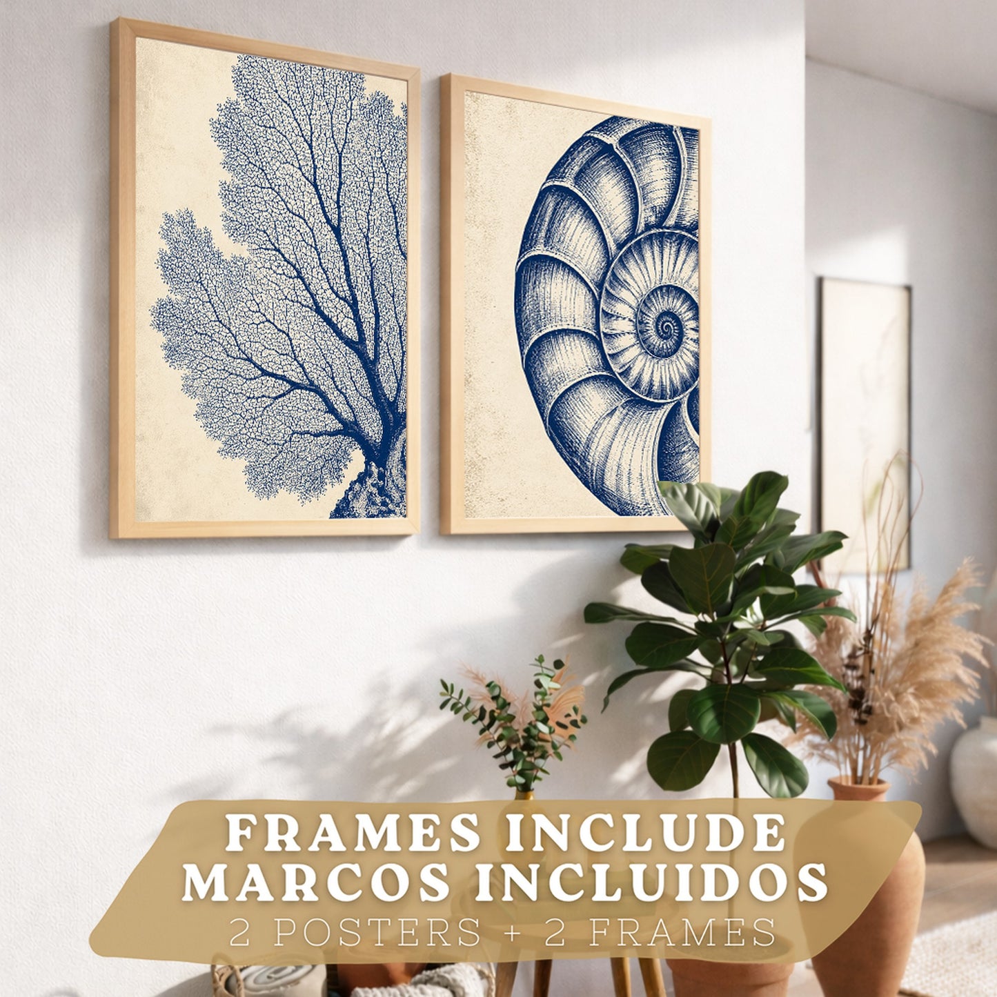 Posters de Arte de Pared Azul Costero con Coral y Concha Nautilus