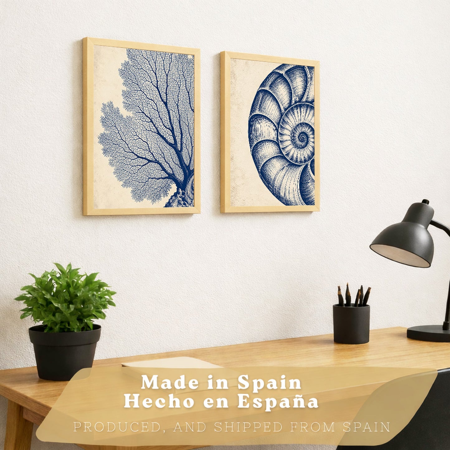 Posters de Arte de Pared Azul Costero con Coral y Concha Nautilus