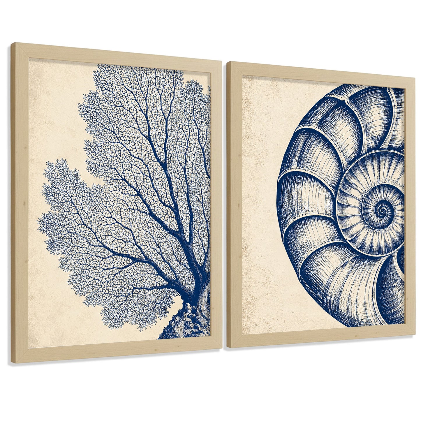 Posters de Arte de Pared Azul Costero con Coral y Concha Nautilus