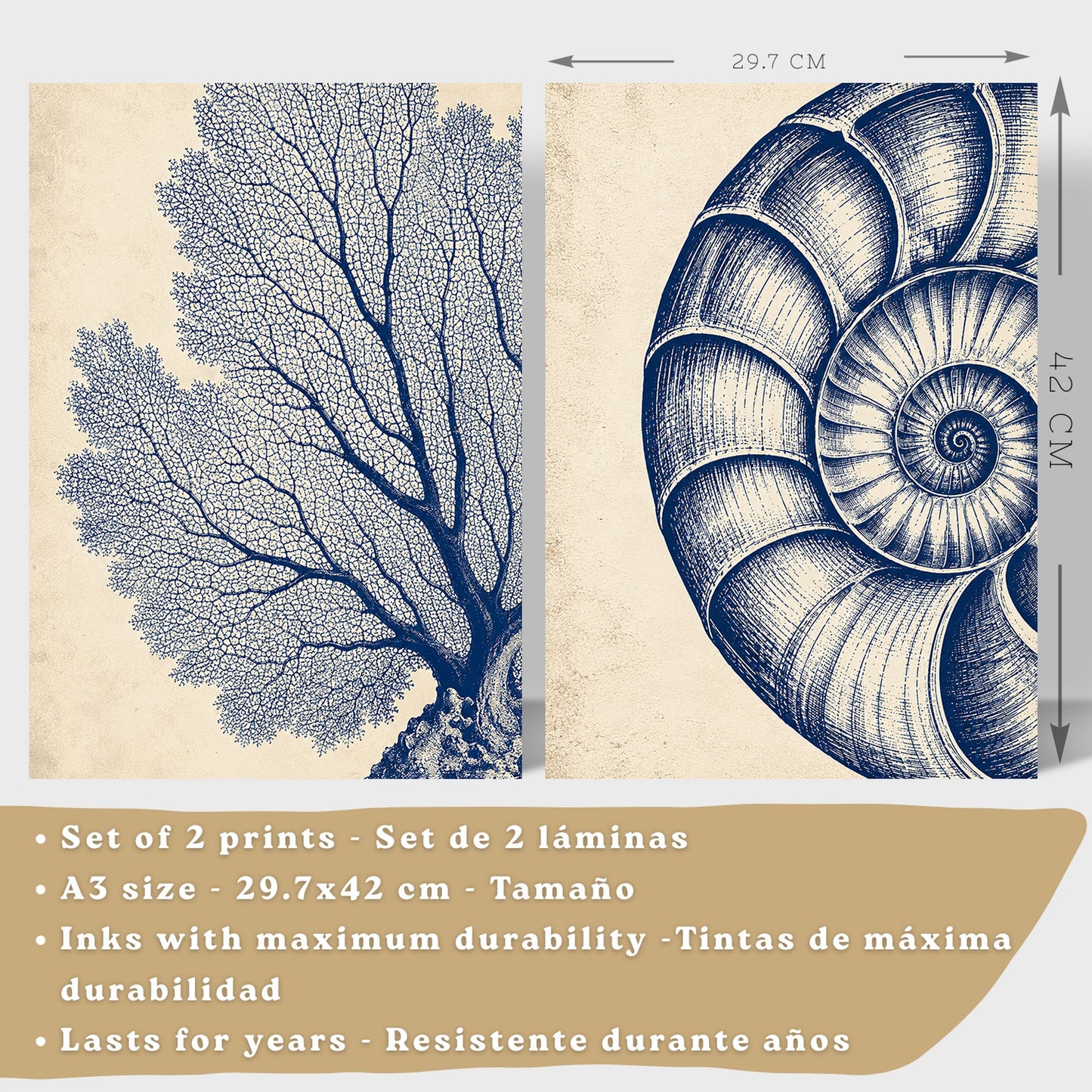 Posters de Arte de Pared Azul Costero con Coral y Concha Nautilus