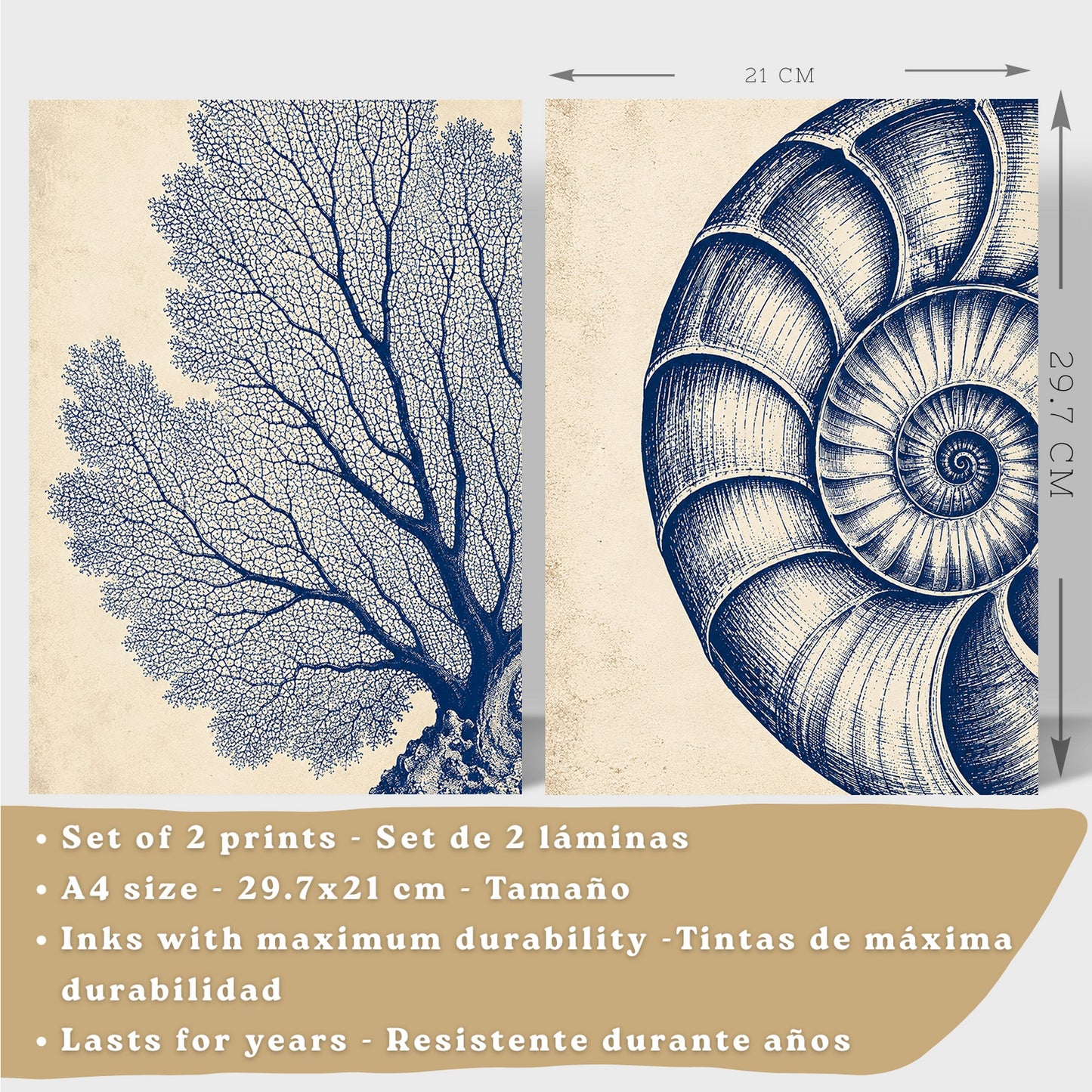 Posters de Arte de Pared Azul Costero con Coral y Concha Nautilus