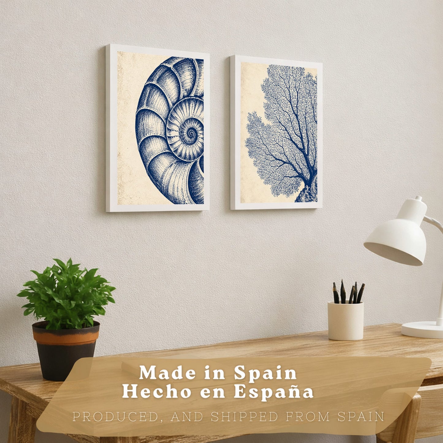 Posters de Arte de Pared Azul Costero con Coral y Concha Nautilus
