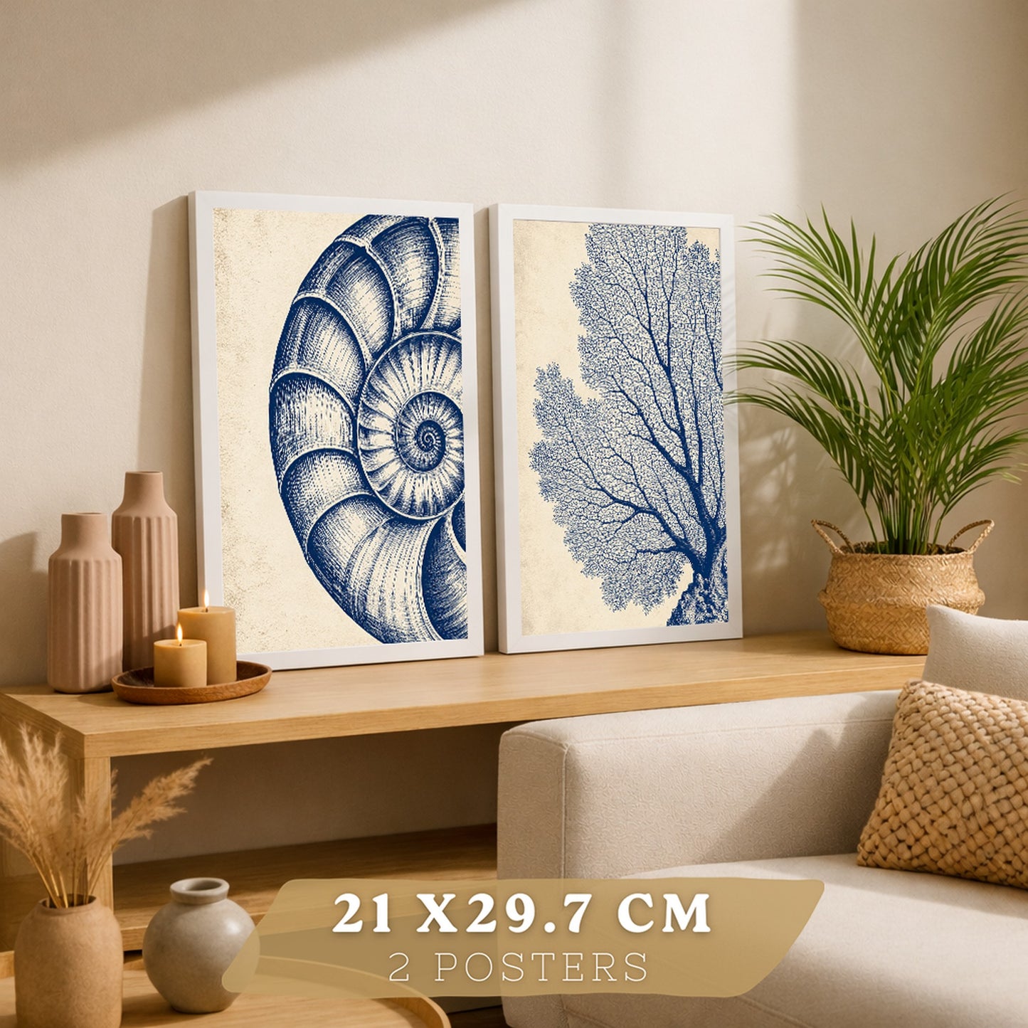 Posters de Arte de Pared Azul Costero con Coral y Concha Nautilus