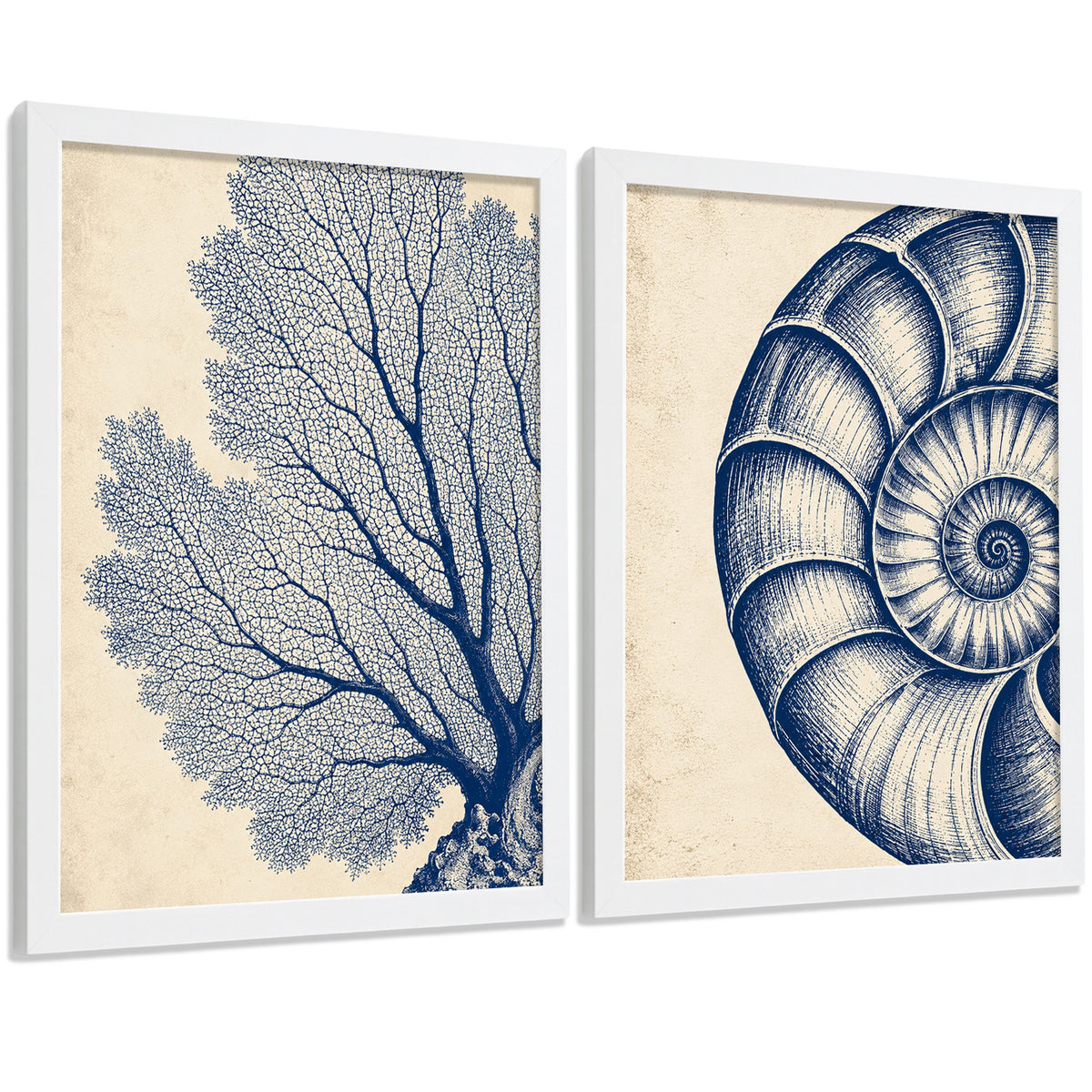 Posters de Arte de Pared Azul Costero con Coral y Concha Nautilus