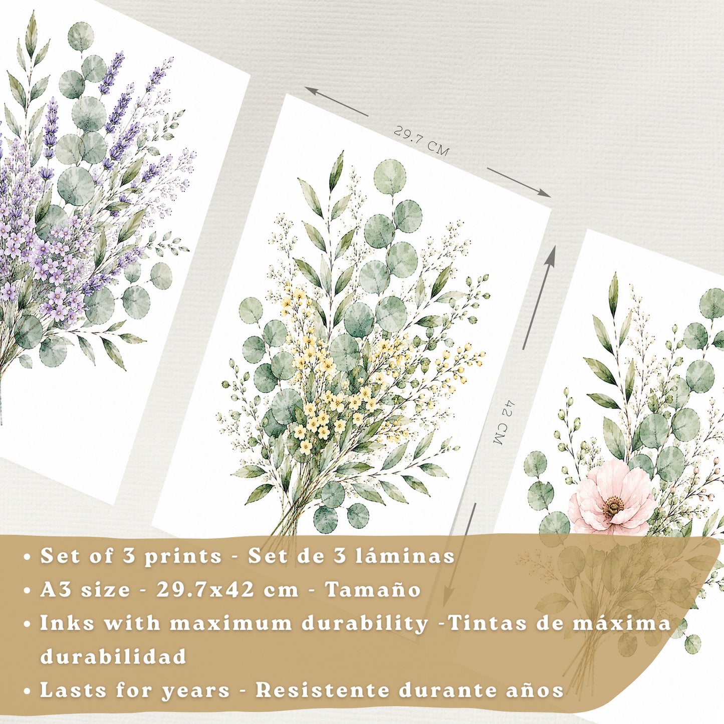 Posters Botánicos de Flores Silvestres con Eucalipto y Lavanda