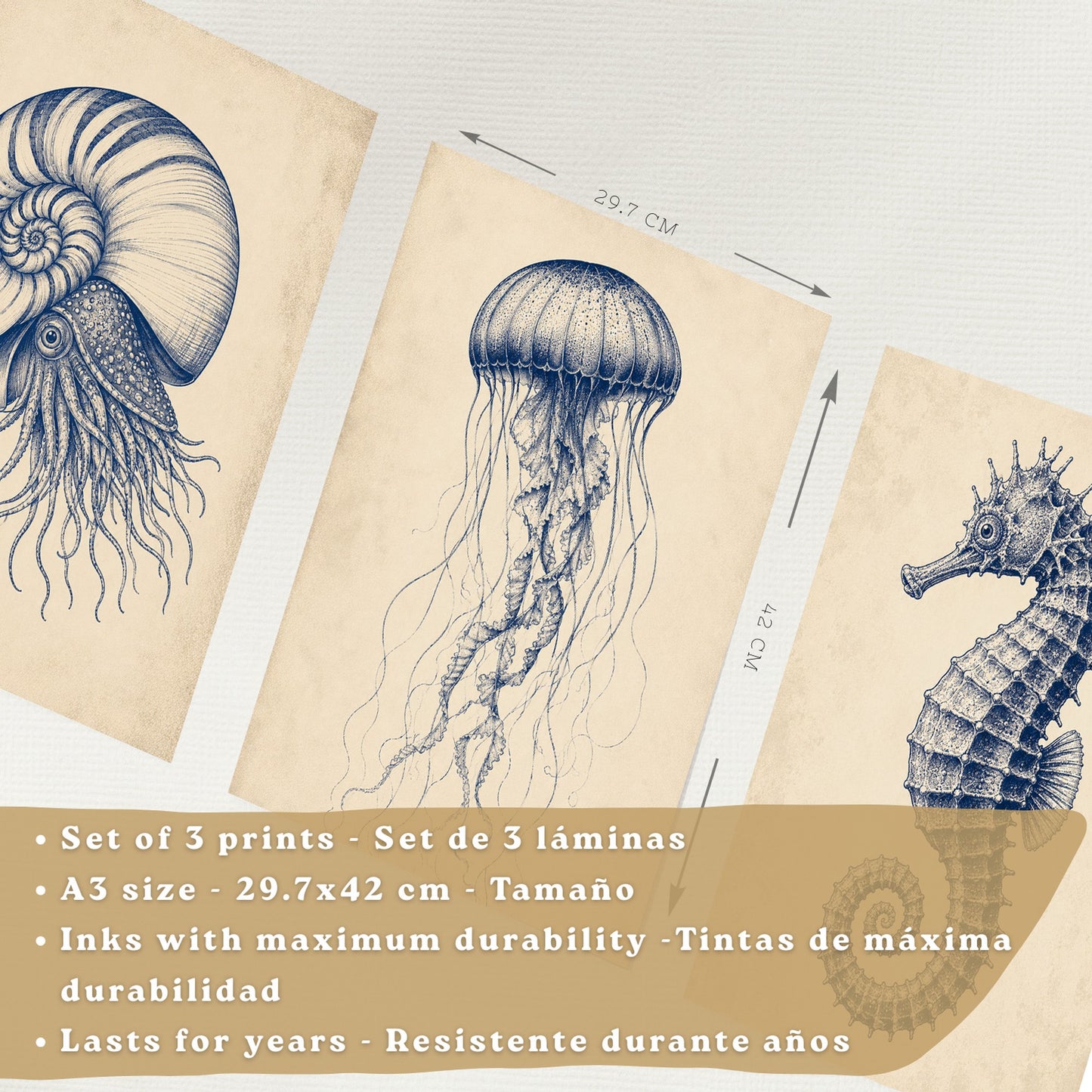 Posters de Arte Azul Costero con Nautilus, Medusa y Caballito de Mar