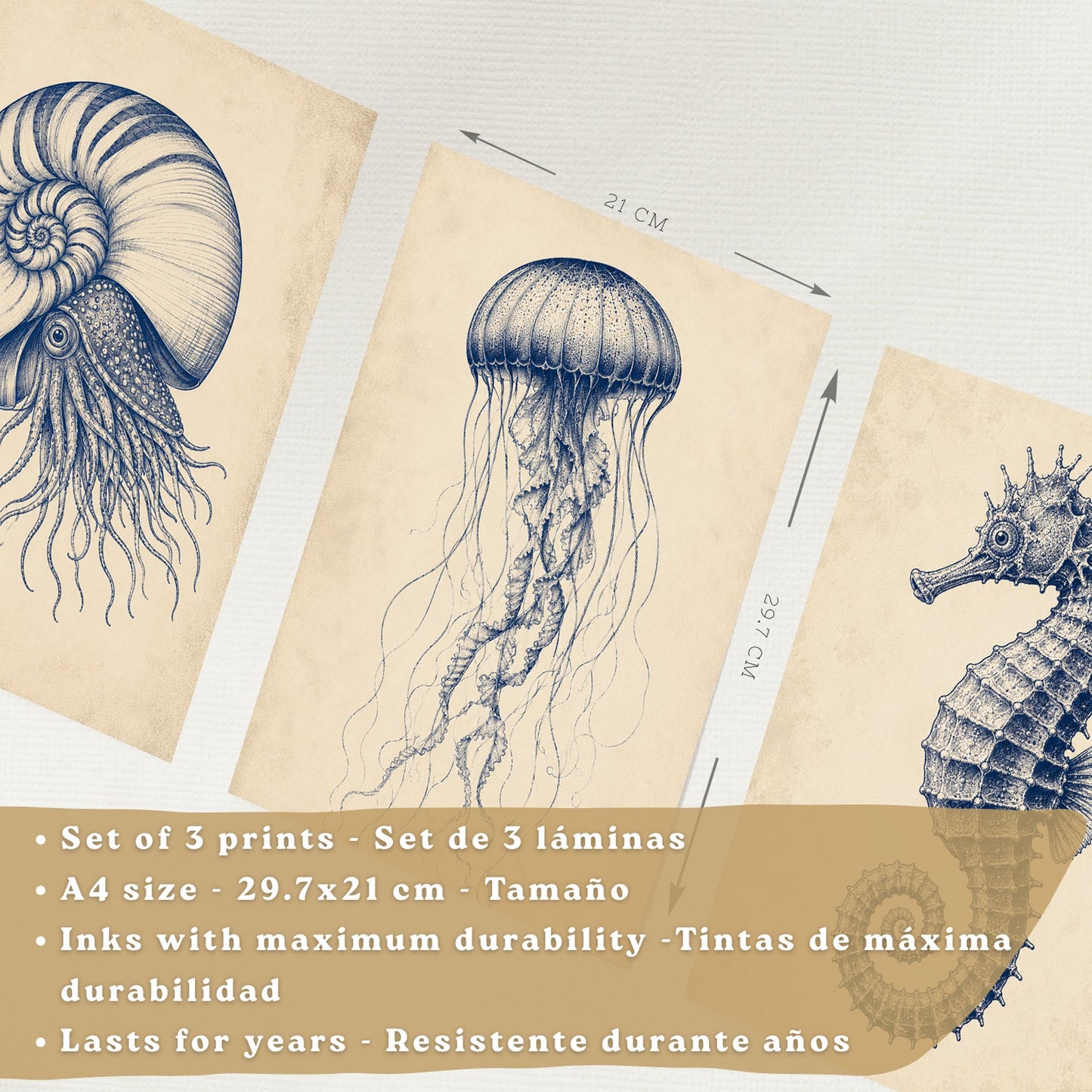 Posters de Arte Azul Costero con Nautilus, Medusa y Caballito de Mar