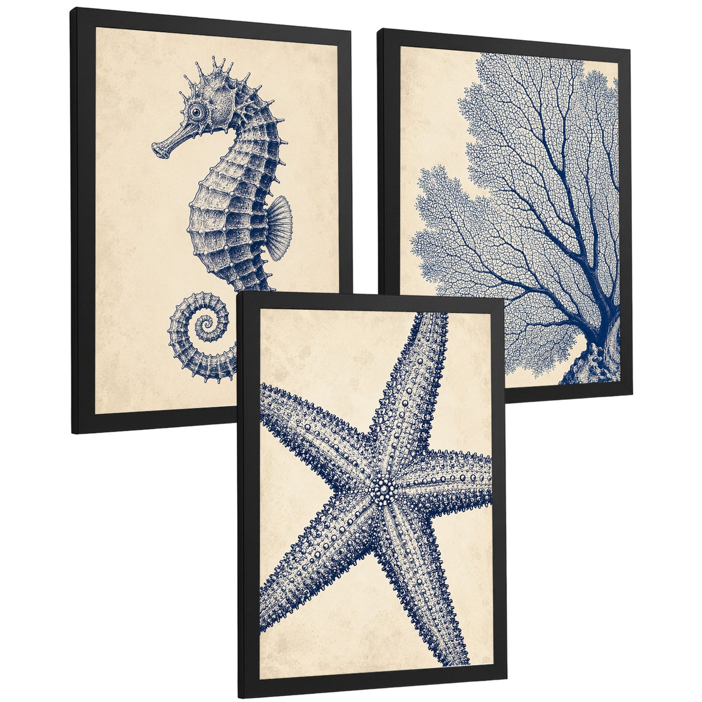 Posters de Azul Costero con Caballito de Mar, Coral y Estrella de Mar