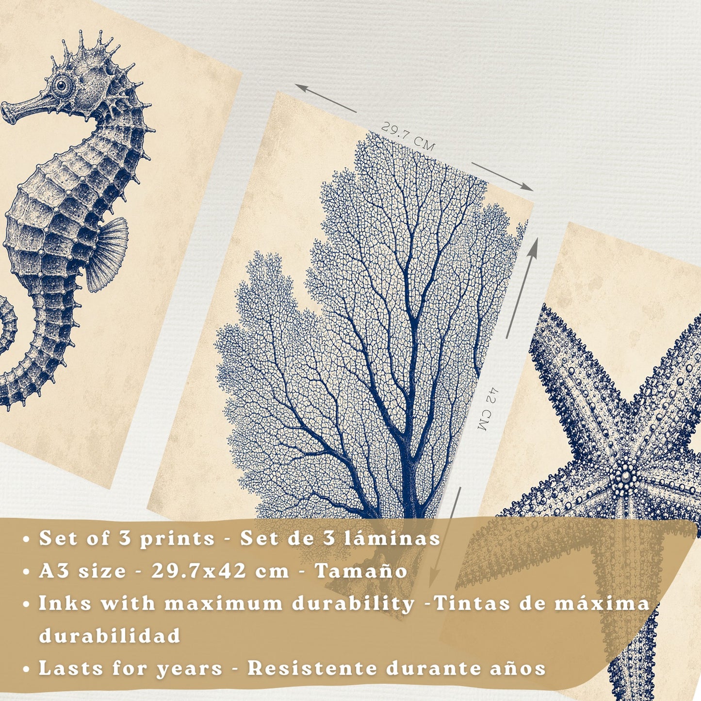 Posters de Azul Costero con Caballito de Mar, Coral y Estrella de Mar