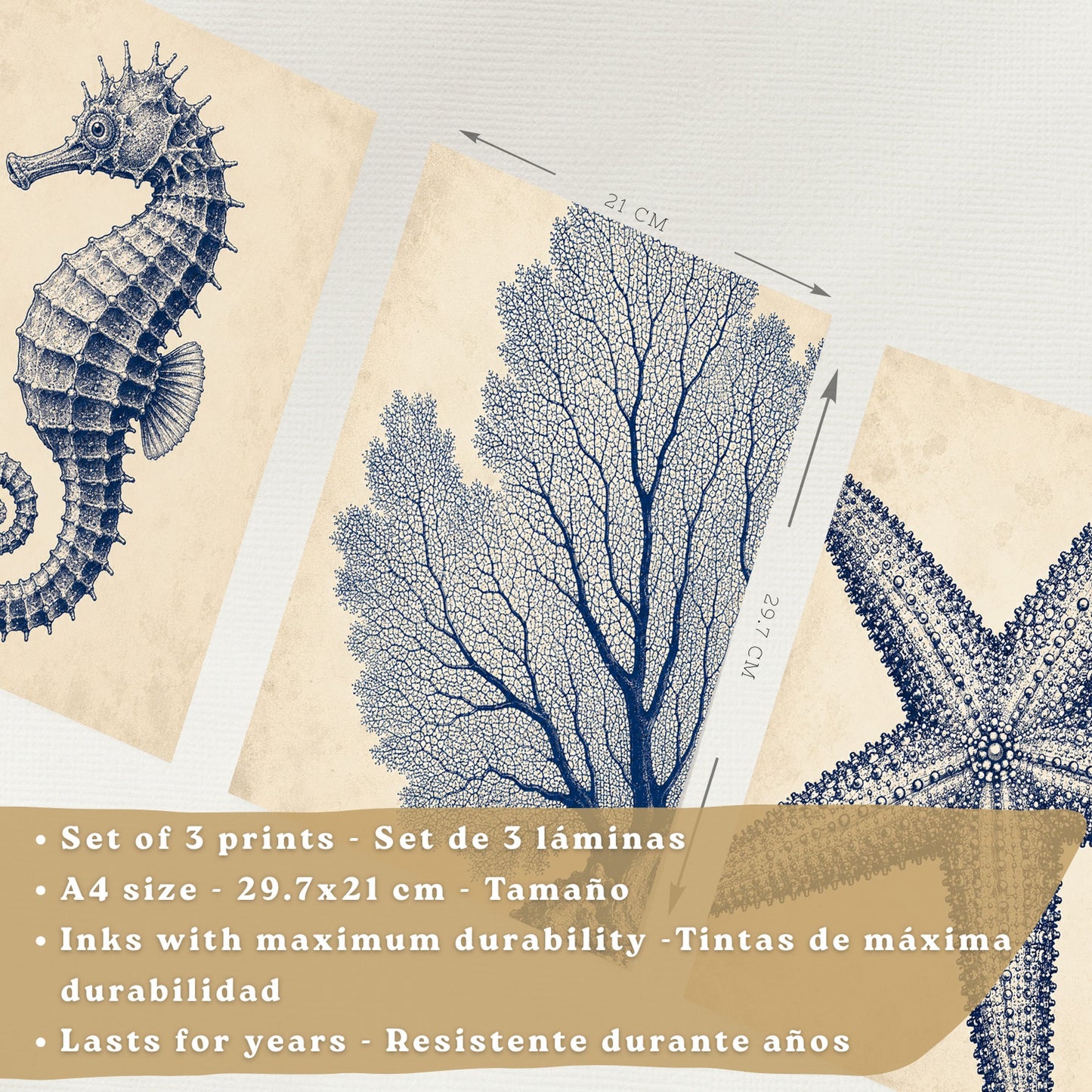 Posters de Azul Costero con Caballito de Mar, Coral y Estrella de Mar