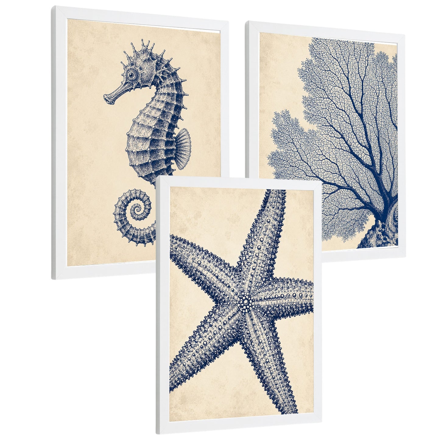 Posters de Azul Costero con Caballito de Mar, Coral y Estrella de Mar