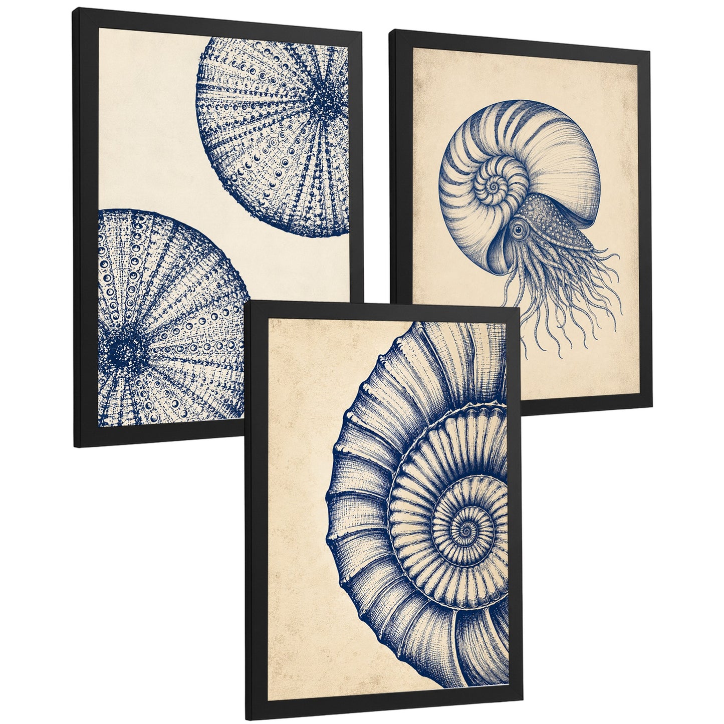 Posters de Arte Azul Costero con Arte de Nautilus y Conchas Marinas