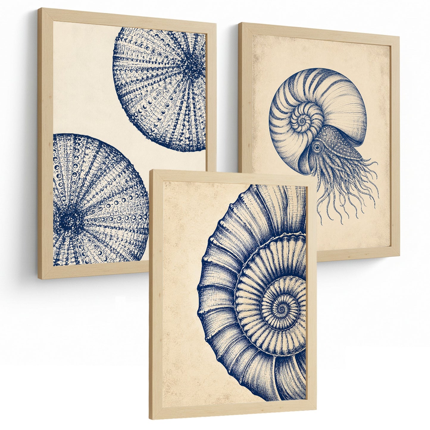 Posters de Arte Azul Costero con Arte de Nautilus y Conchas Marinas