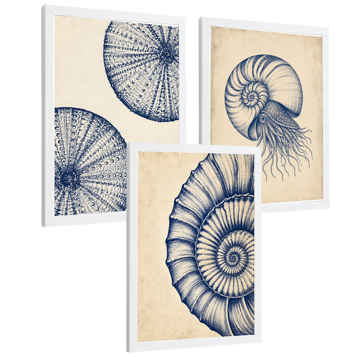 Posters de Arte Azul Costero con Arte de Nautilus y Conchas Marinas
