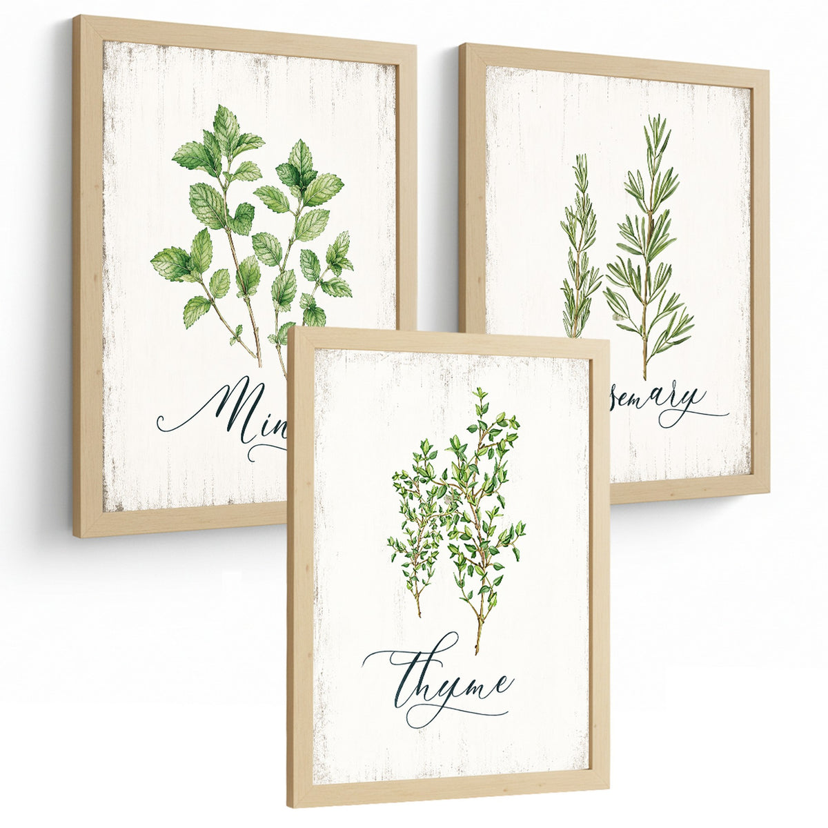 Posters Botánicos de Hierbas con Arte de Menta, Romero y Tomillo