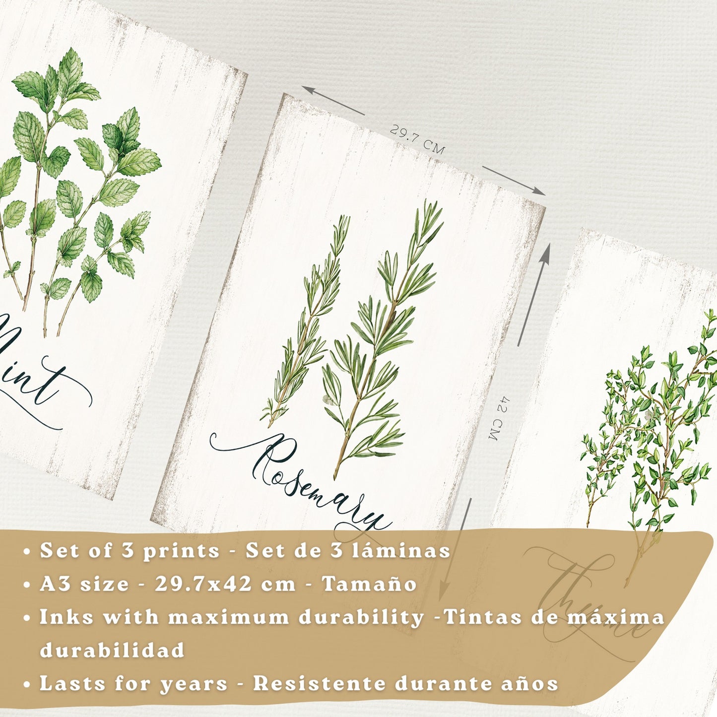 Posters Botánicos de Hierbas con Arte de Menta, Romero y Tomillo