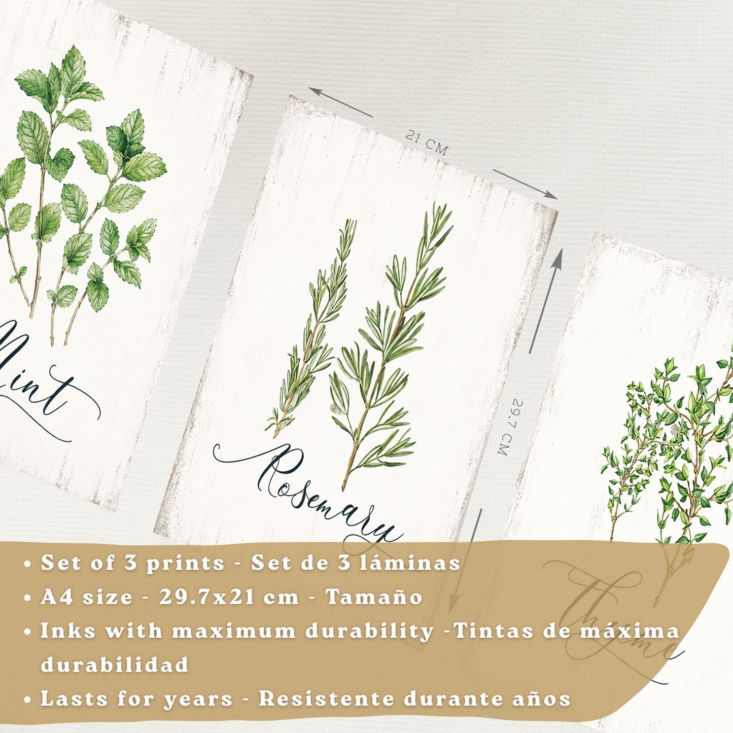 Posters Botánicos de Hierbas con Arte de Menta, Romero y Tomillo