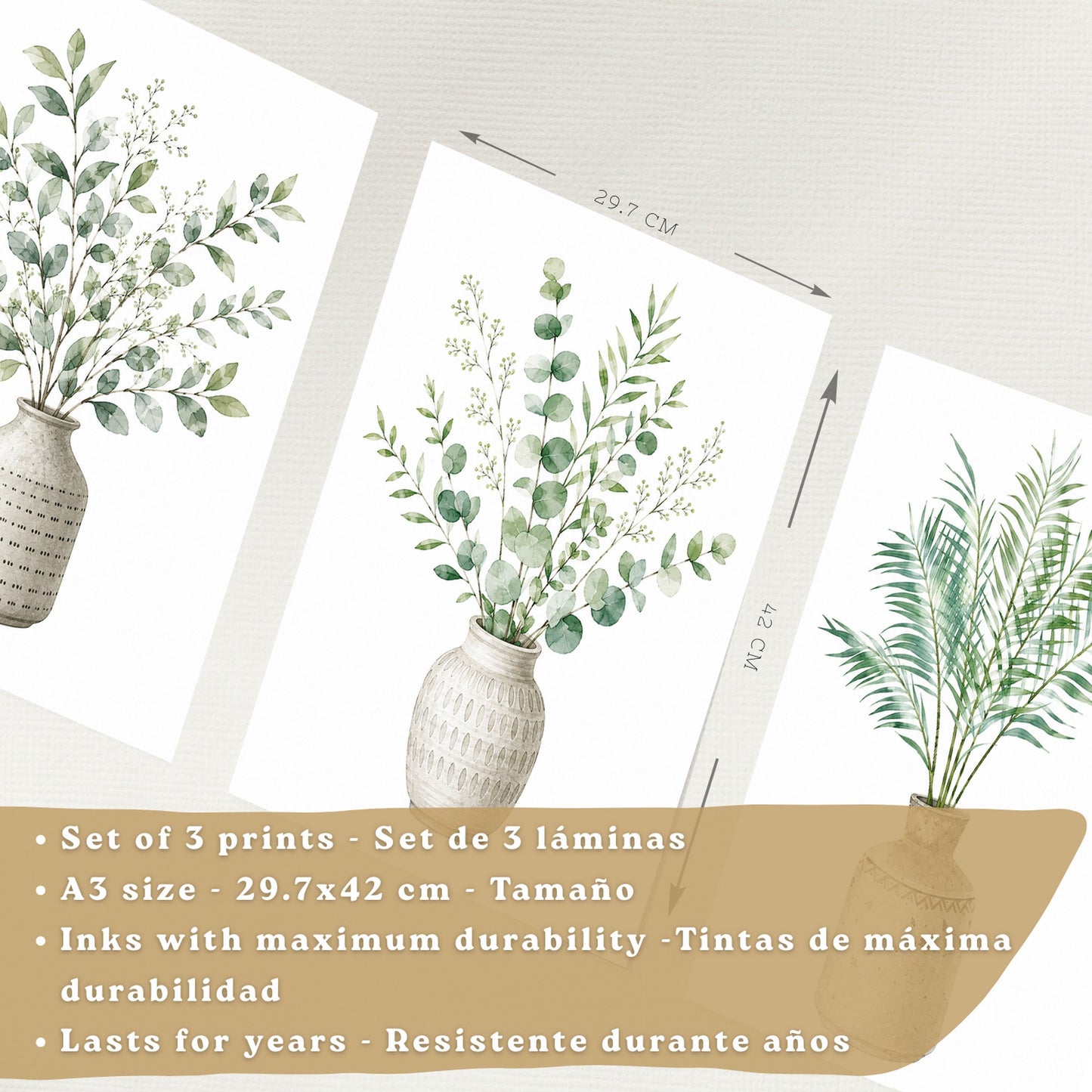 Posters decorativas Botánicos con Eucalipto Verde y Hojas de Palma
