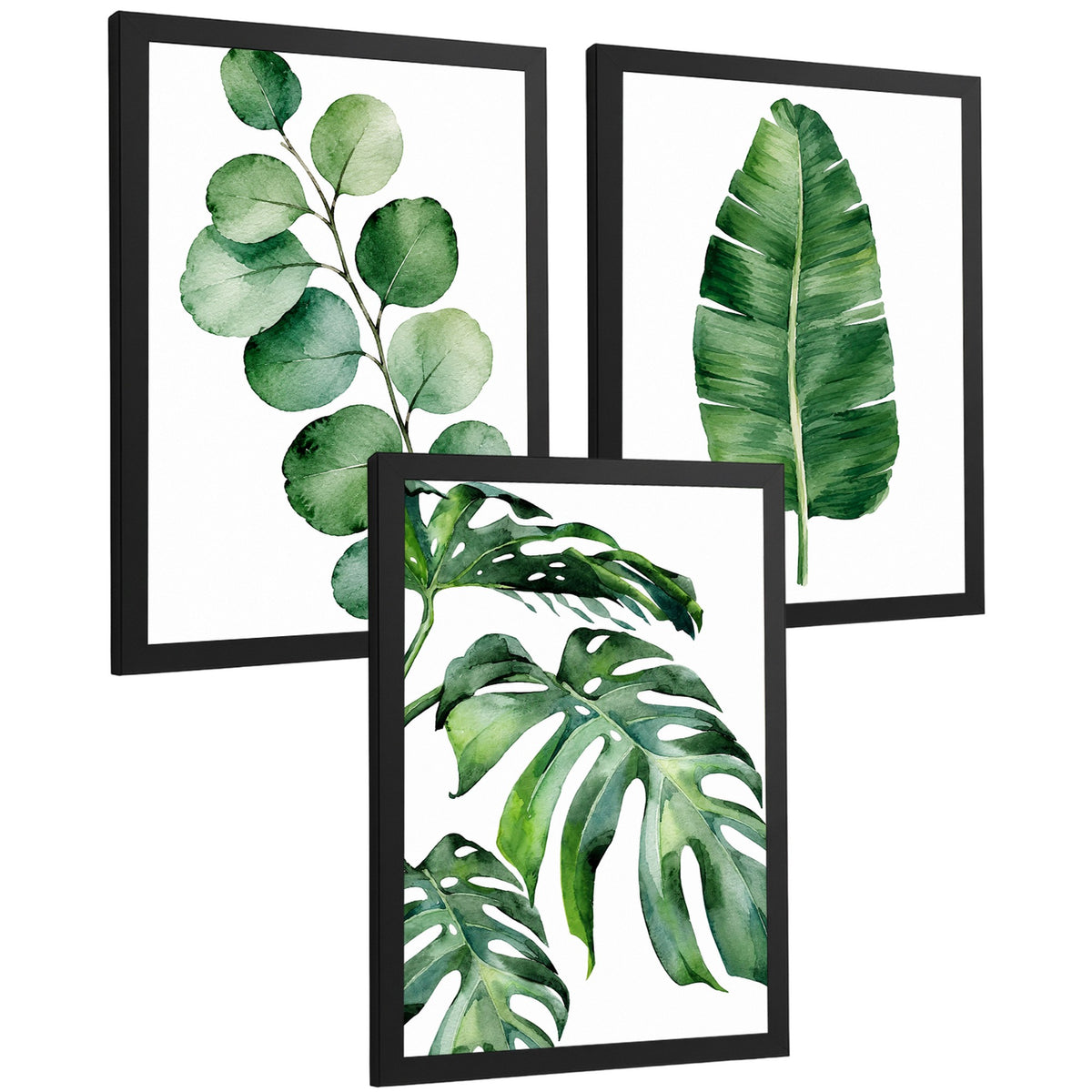 Posters Botánicos Tropicales con Eucalipto, Banano y Monstera