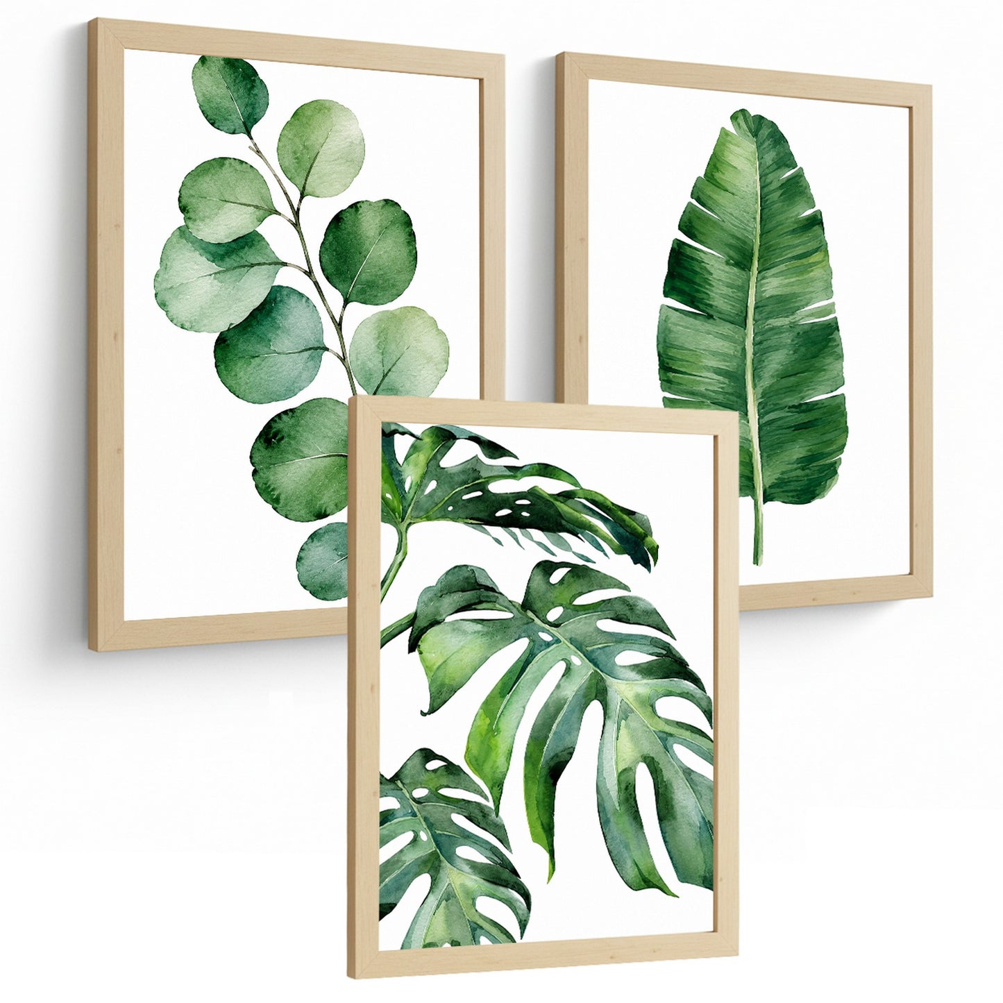 Posters Botánicos Tropicales con Eucalipto, Banano y Monstera