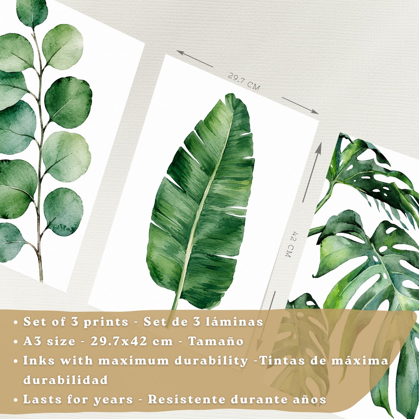 Posters Botánicos Tropicales con Eucalipto, Banano y Monstera