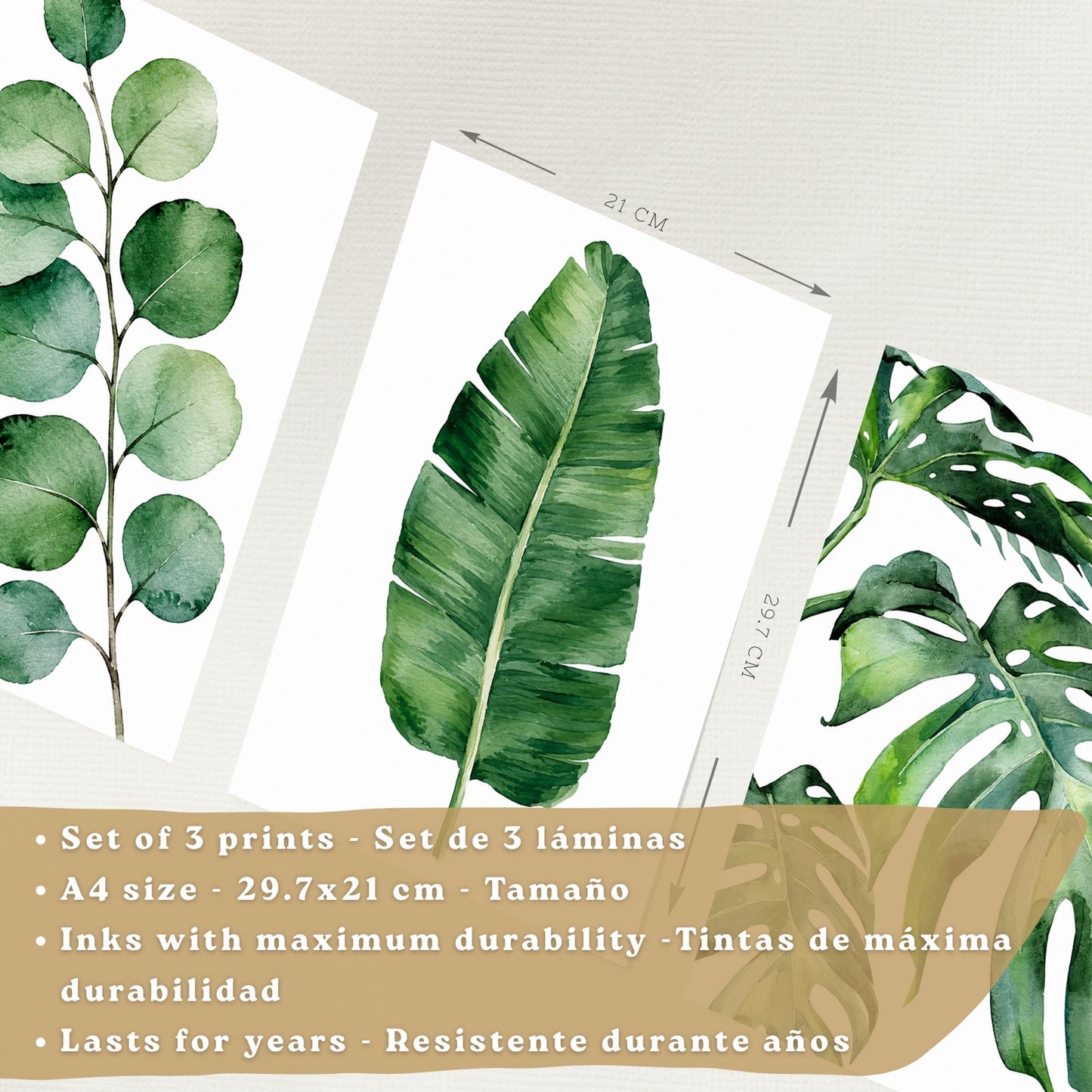 Posters Botánicos Tropicales con Eucalipto, Banano y Monstera