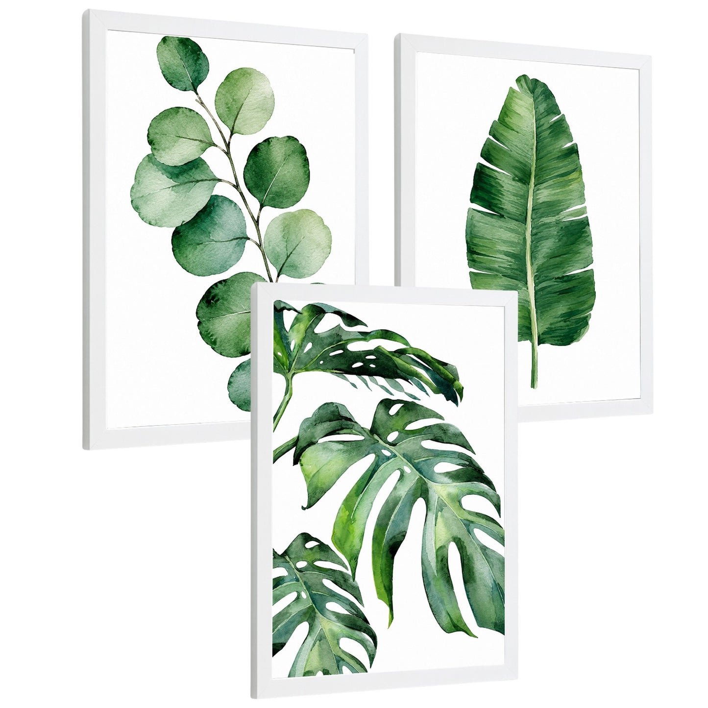 Posters Botánicos Tropicales con Eucalipto, Banano y Monstera