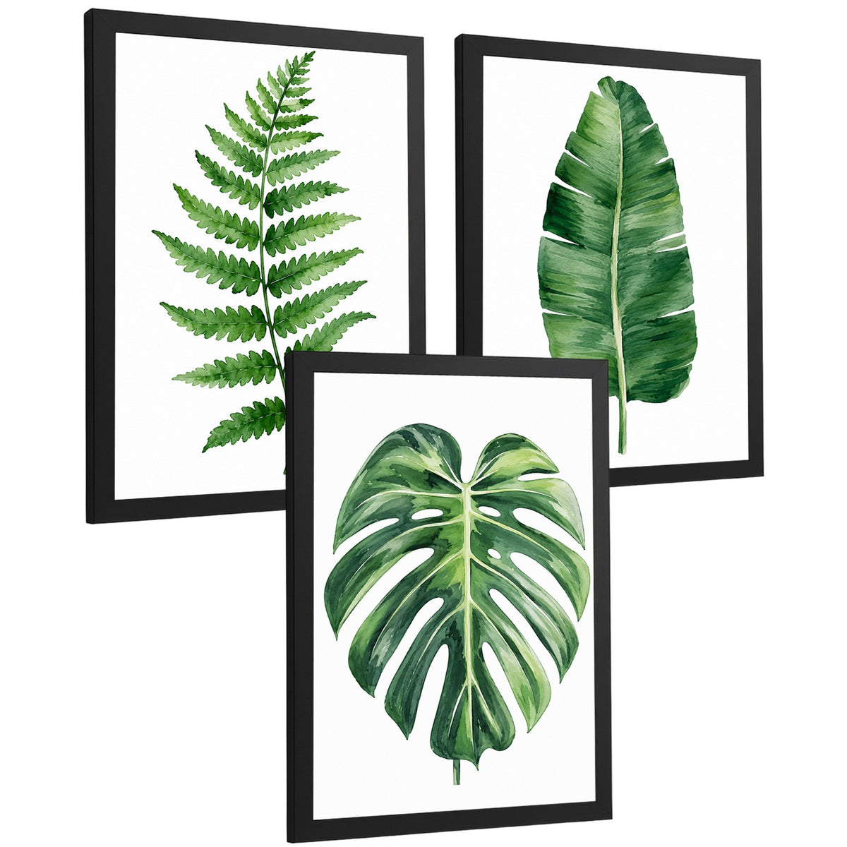 Posters Botánicos Tropicales Arte de Helecho Hoja de Plátano Monstera