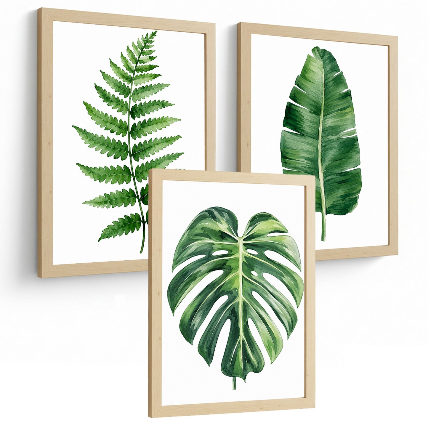 Posters Botánicos Tropicales Arte de Helecho Hoja de Plátano Monstera