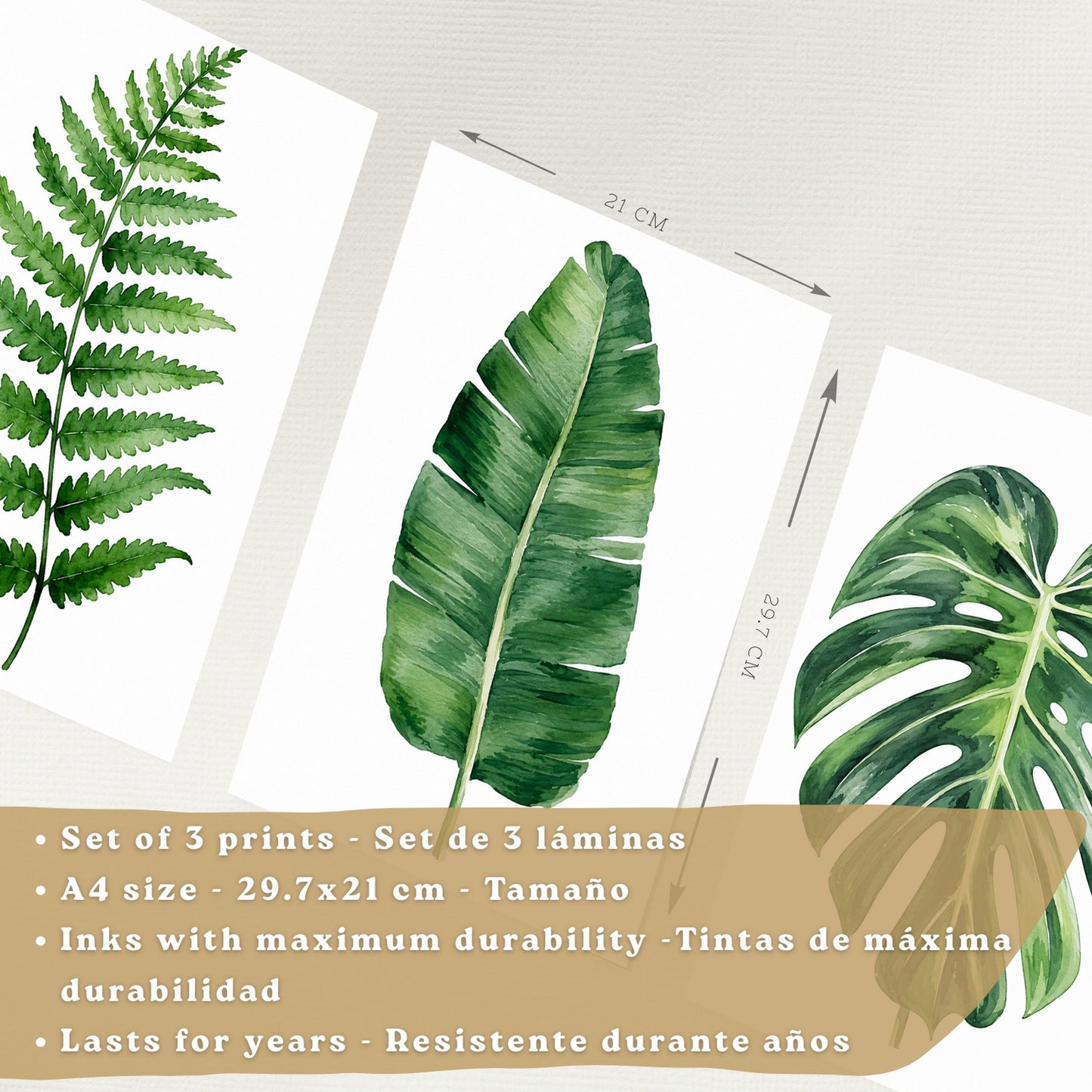 Posters Botánicos Tropicales Arte de Helecho Hoja de Plátano Monstera