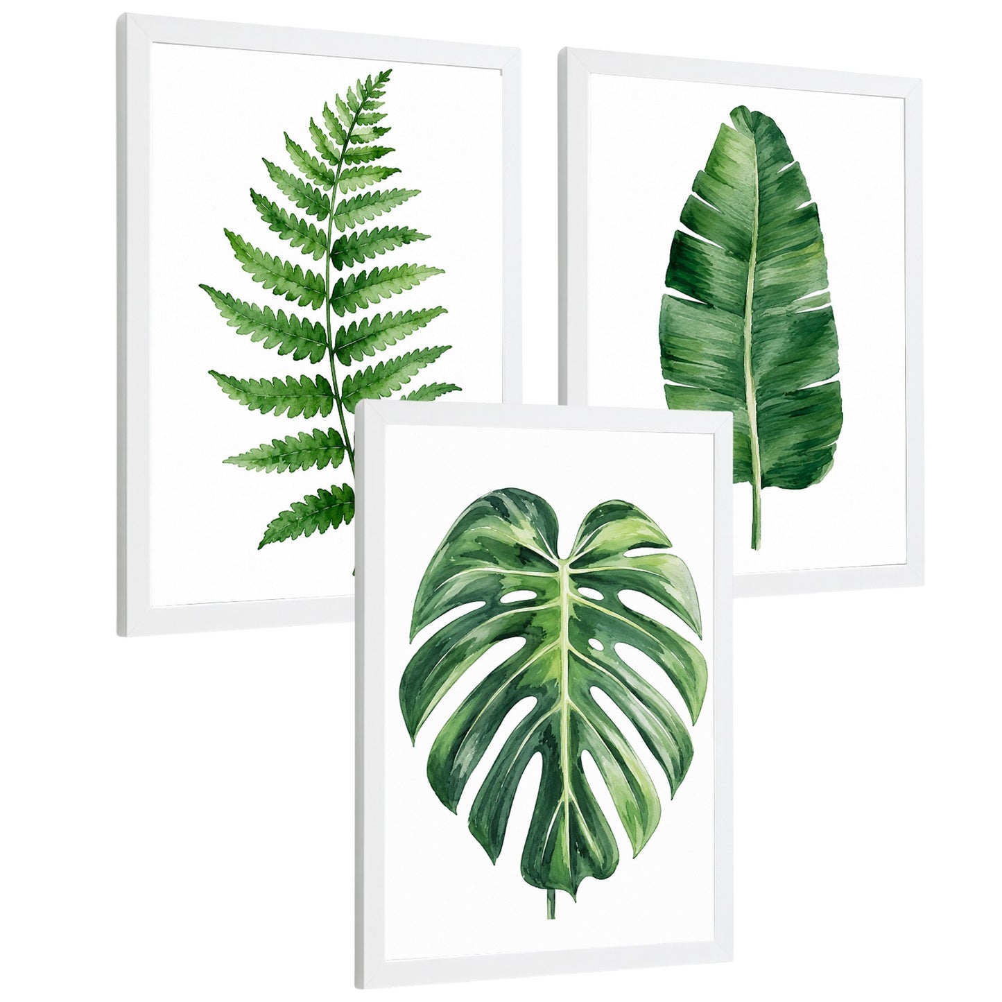 Posters Botánicos Tropicales Arte de Helecho Hoja de Plátano Monstera