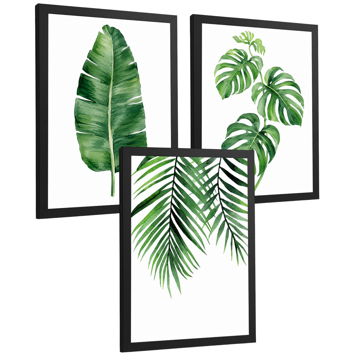Posters de Hojas Tropicales Monstera, Palma y Hoja de Banano