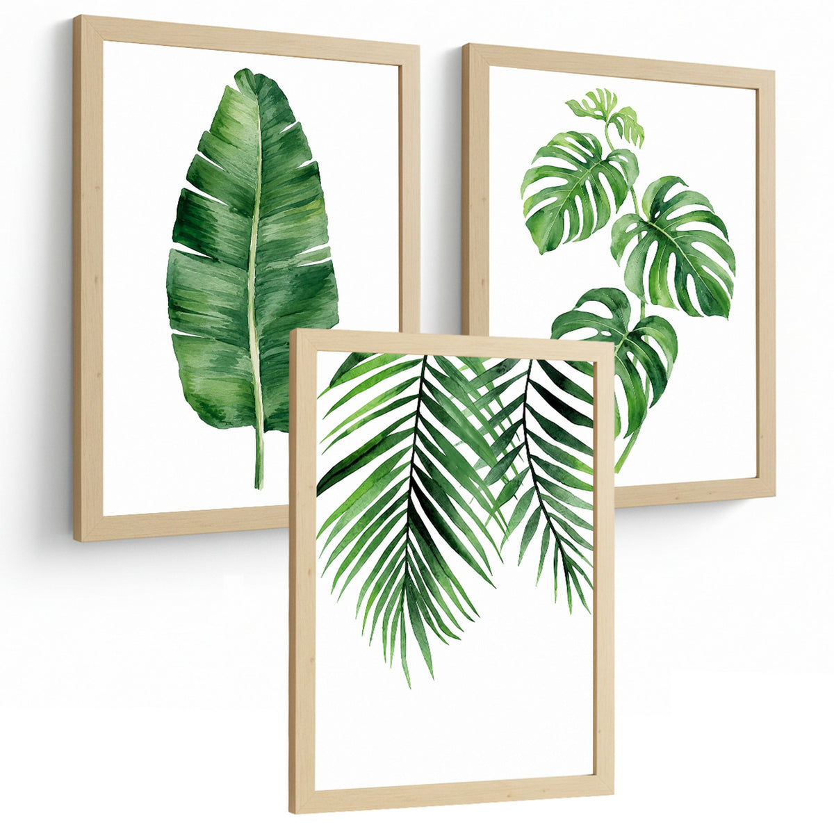 Posters de Hojas Tropicales Monstera, Palma y Hoja de Banano