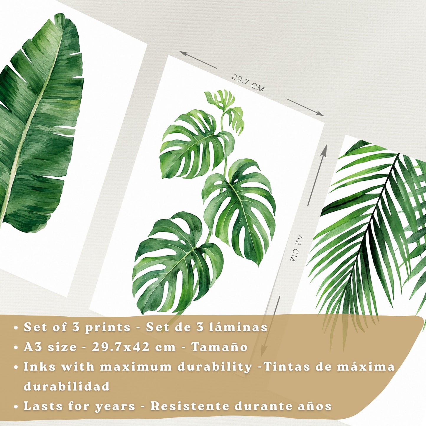 Posters de Hojas Tropicales Monstera, Palma y Hoja de Banano