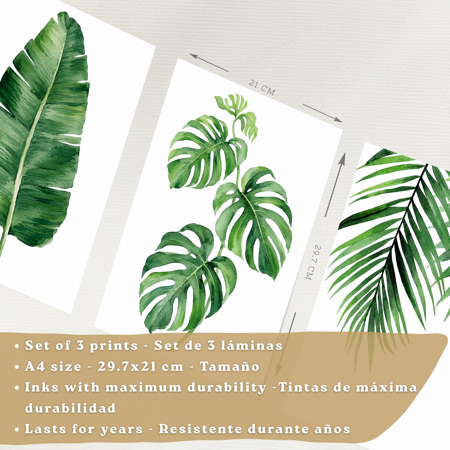 Posters de Hojas Tropicales Monstera, Palma y Hoja de Banano