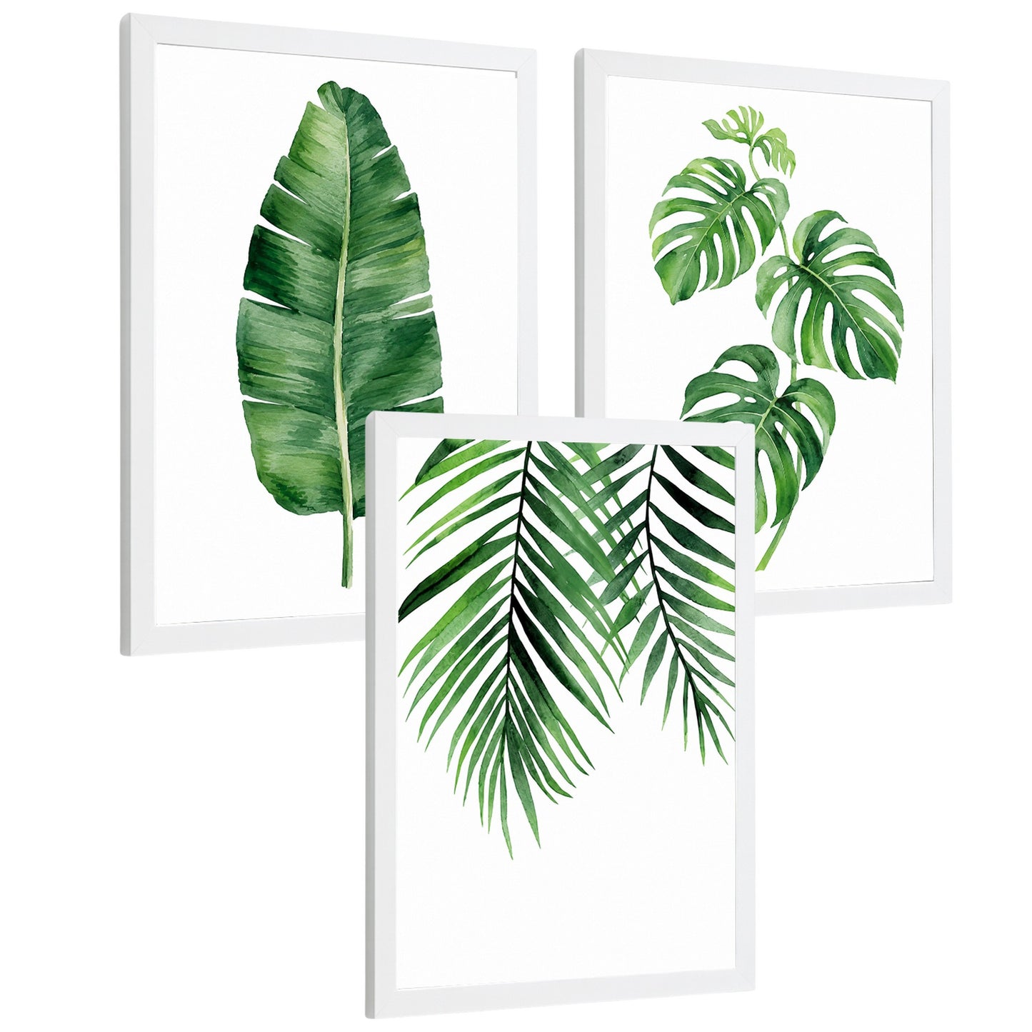 Posters de Hojas Tropicales Monstera, Palma y Hoja de Banano