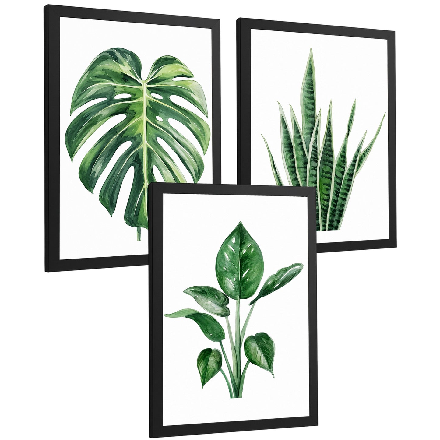 Posters Botánicos Tropicales Monstera, Sansevieria y Arte de Follaje