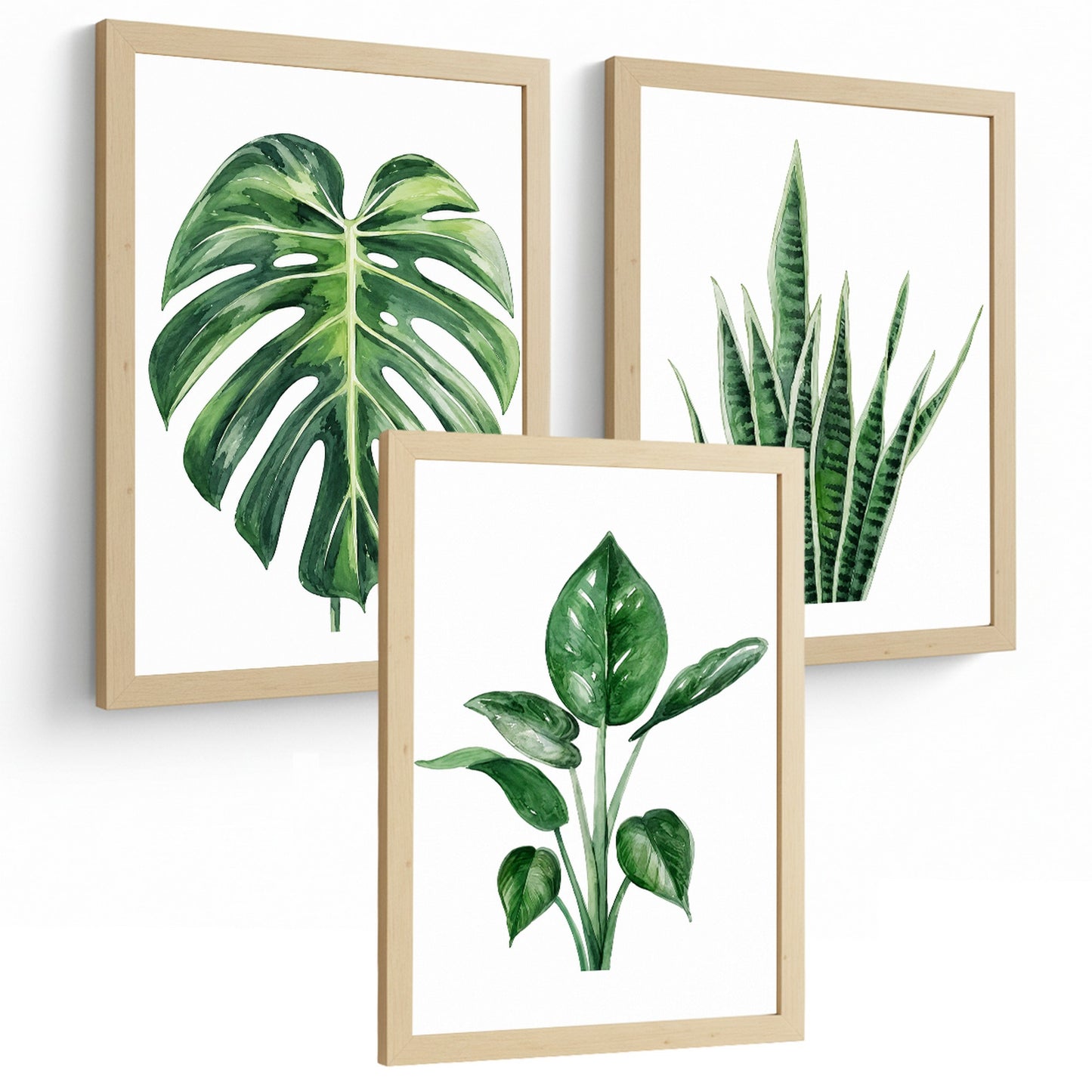 Posters Botánicos Tropicales Monstera, Sansevieria y Arte de Follaje