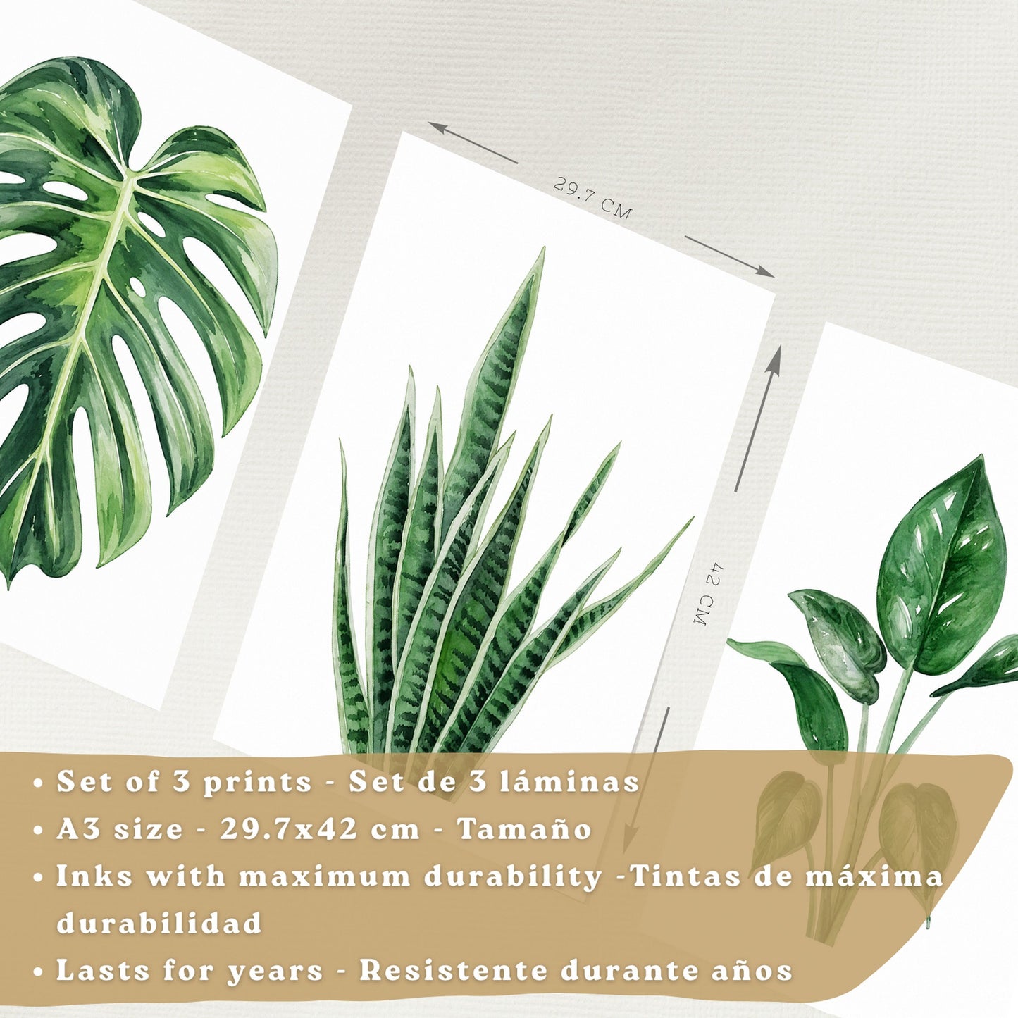 Posters Botánicos Tropicales Monstera, Sansevieria y Arte de Follaje