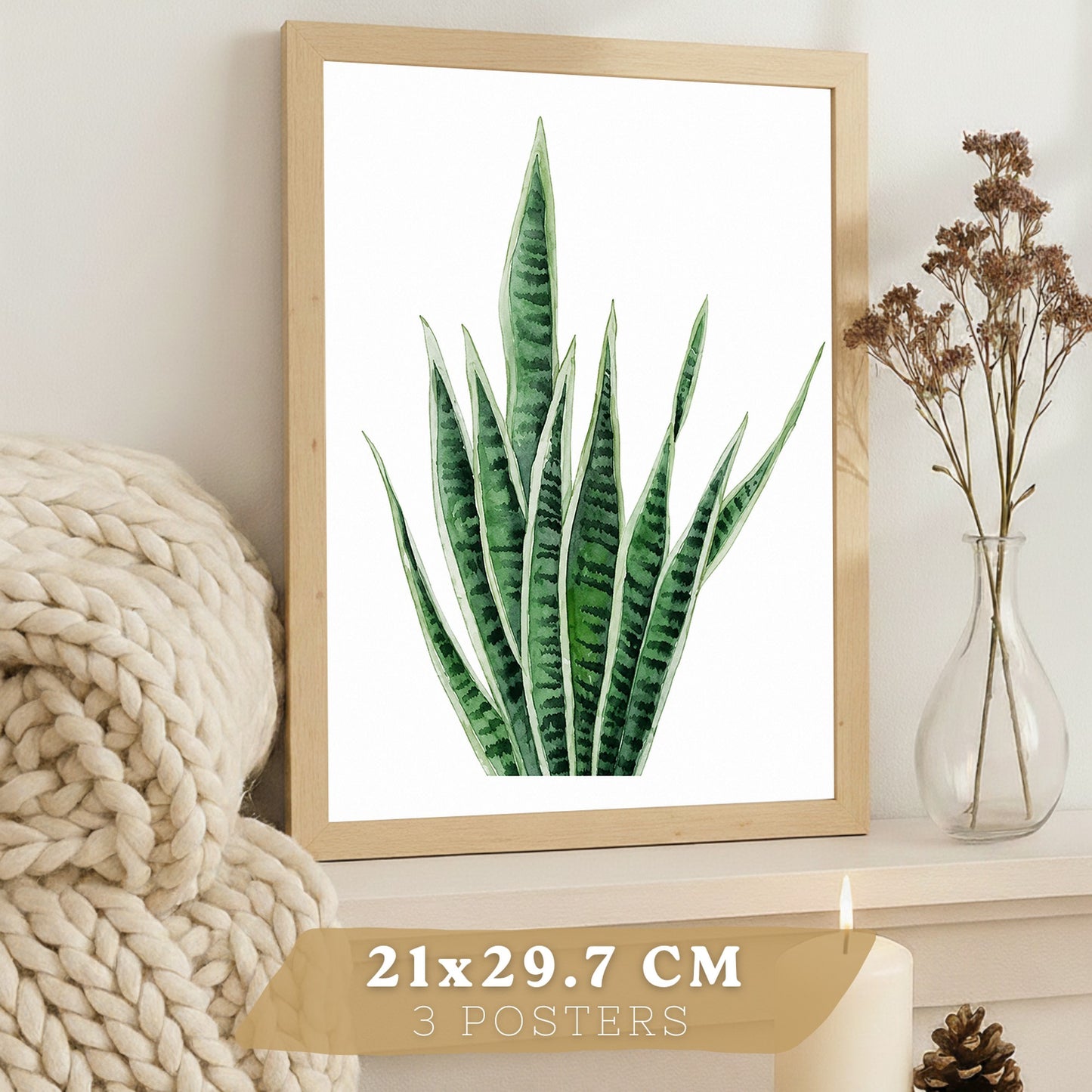 Posters Botánicos Tropicales Monstera, Sansevieria y Arte de Follaje
