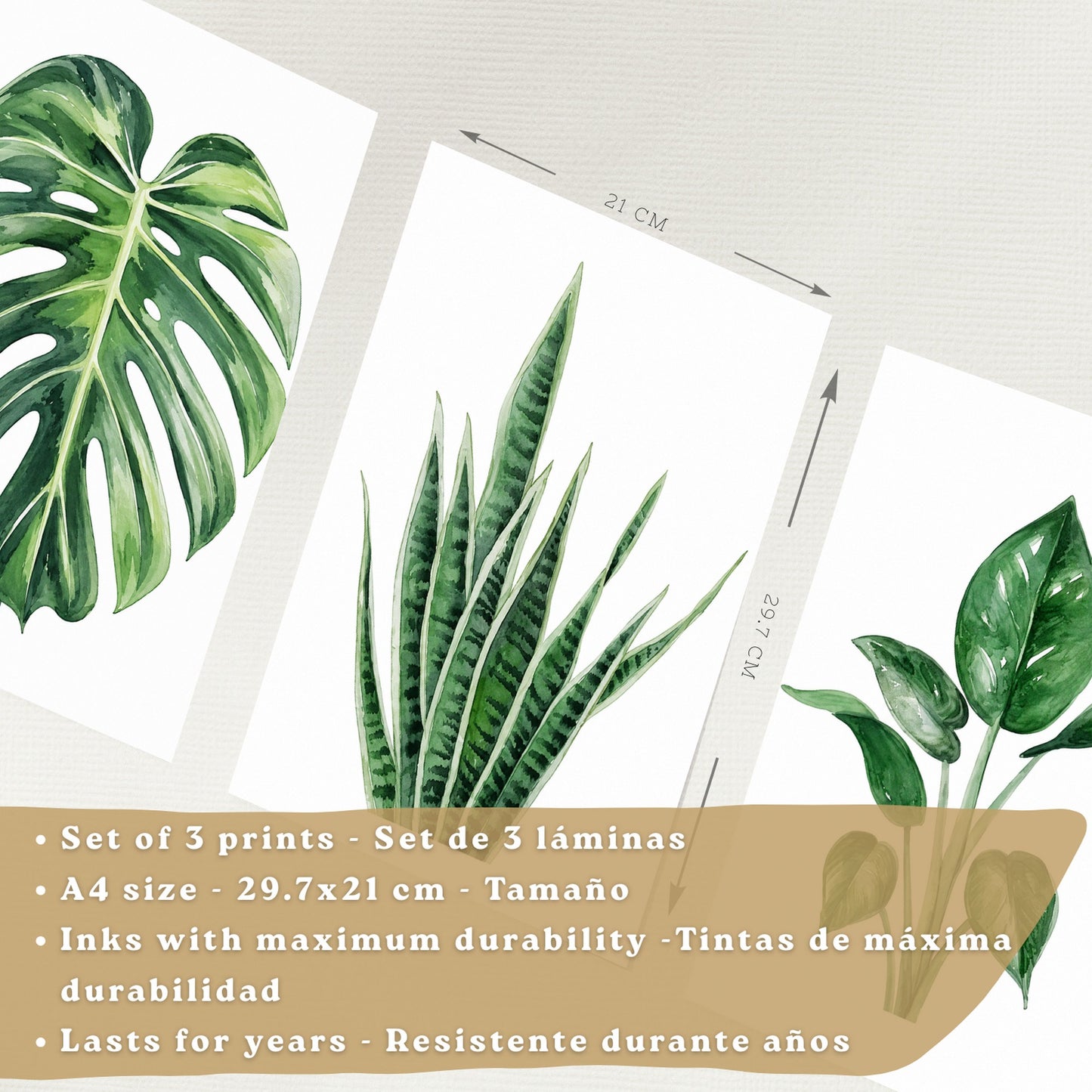 Posters Botánicos Tropicales Monstera, Sansevieria y Arte de Follaje