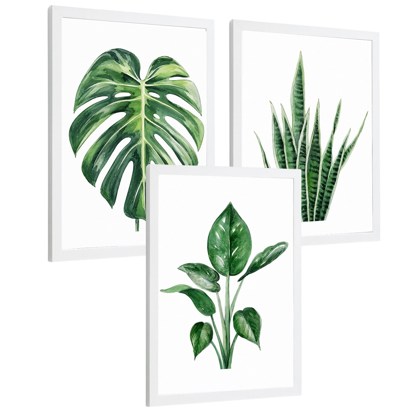 Posters Botánicos Tropicales Monstera, Sansevieria y Arte de Follaje