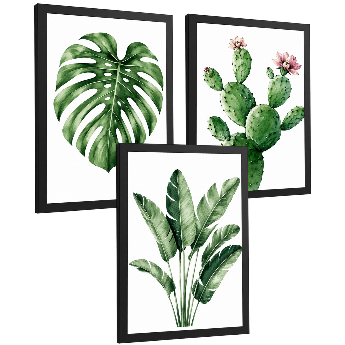 Posters decorativas Botánicos Tropicales con Monstera, Cactus y Palma