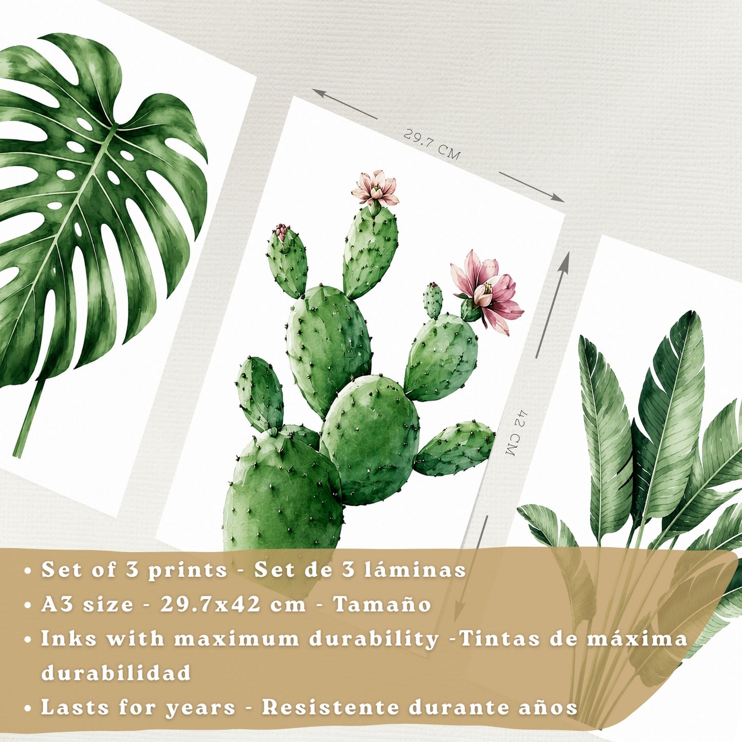 Posters decorativas Botánicos Tropicales con Monstera, Cactus y Palma