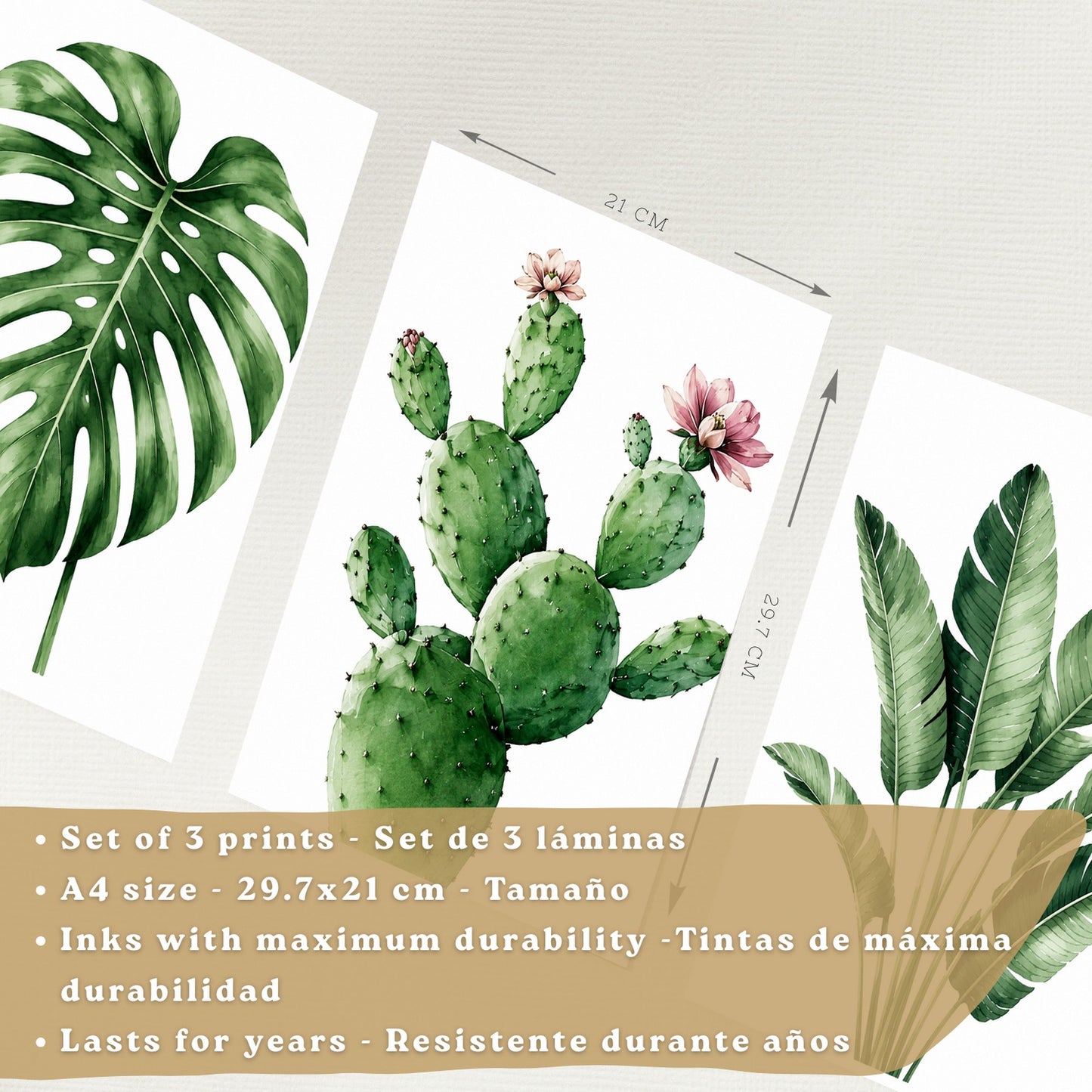 Posters decorativas Botánicos Tropicales con Monstera, Cactus y Palma