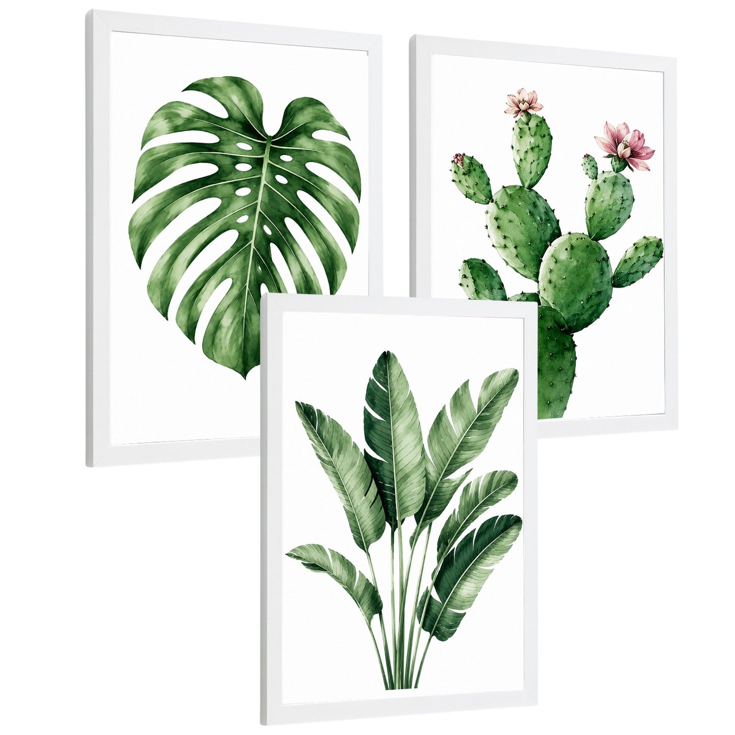 Posters decorativas Botánicos Tropicales con Monstera, Cactus y Palma