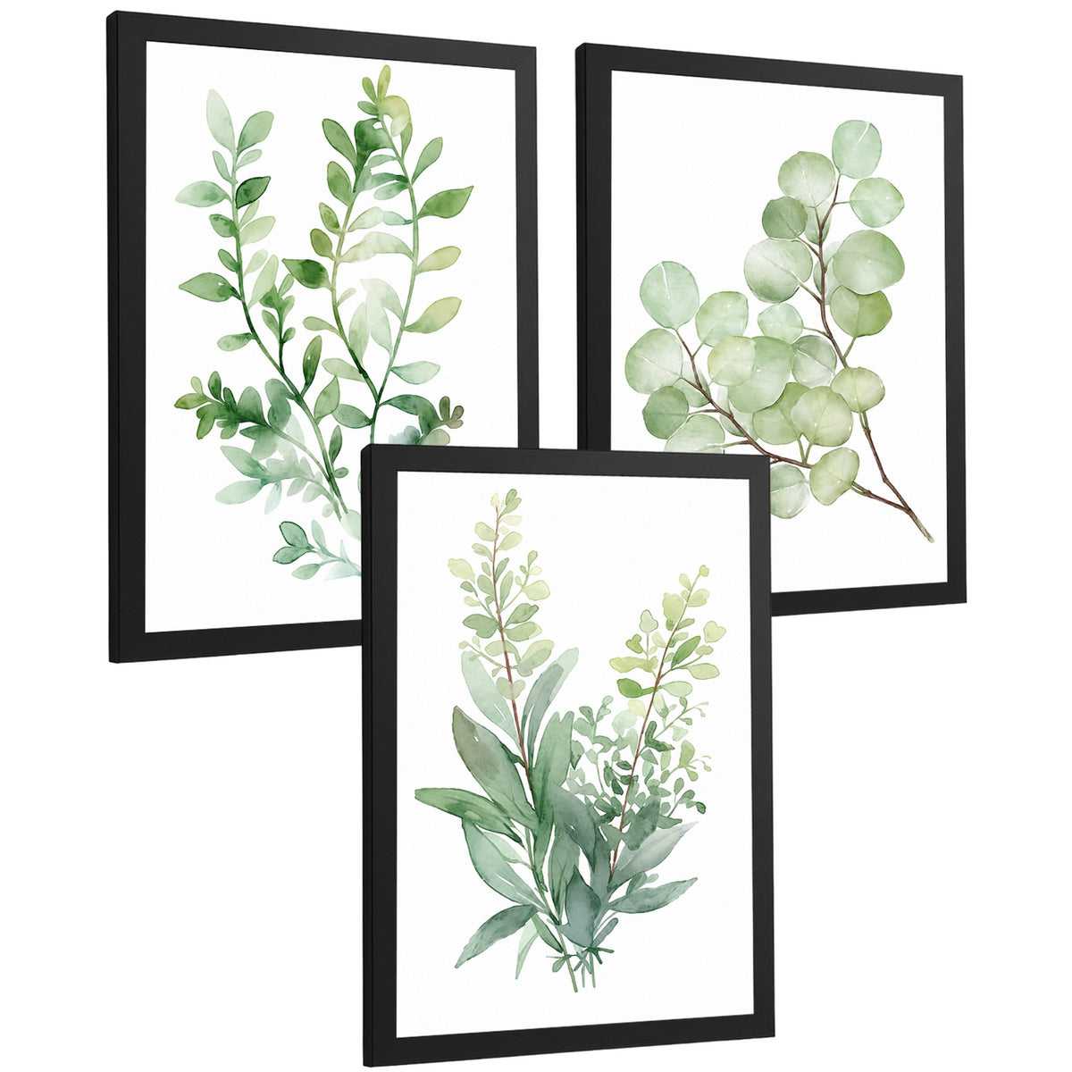 Posters Botánicos de Eucalipto con Hojas Verdes Acuarela